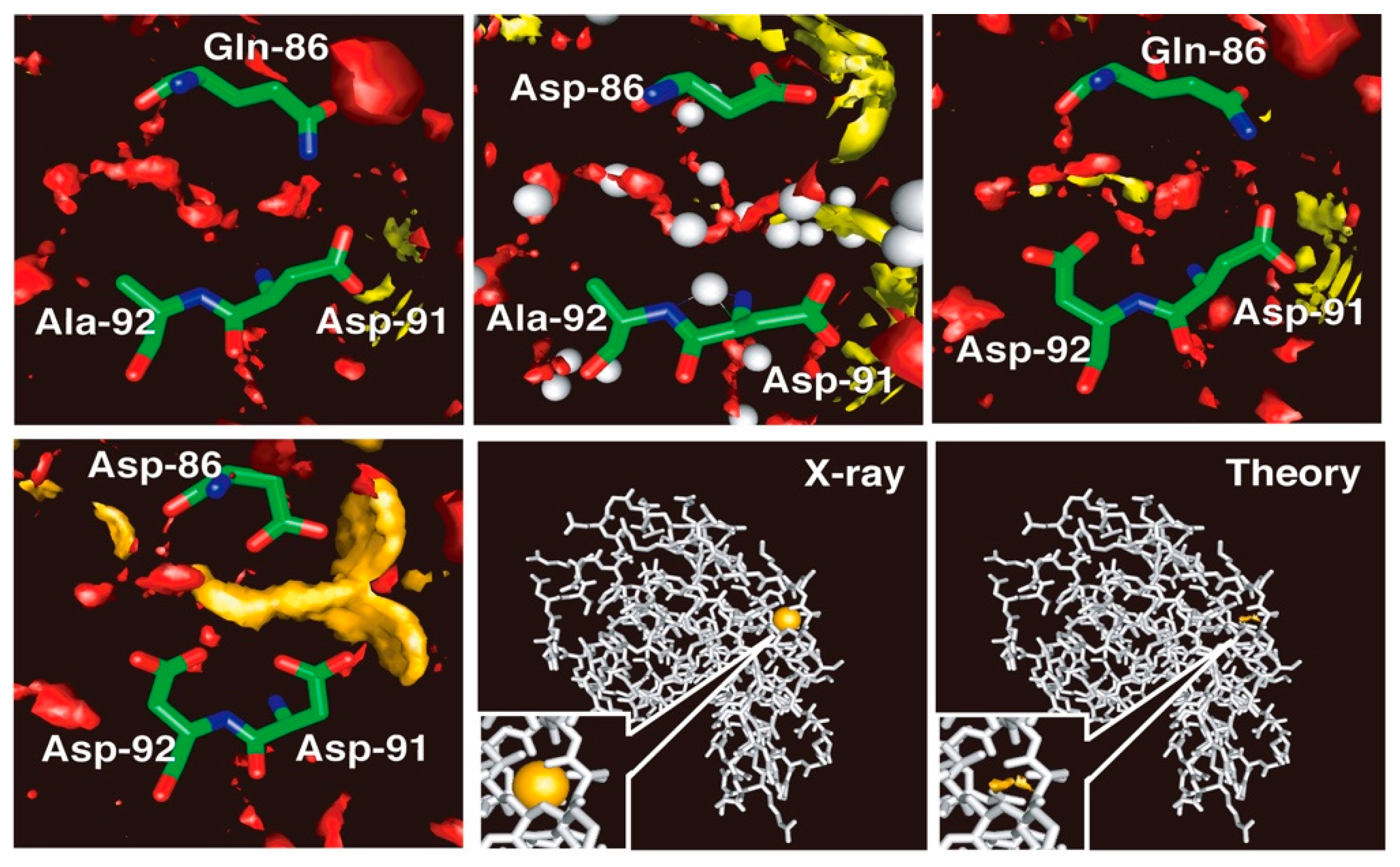 Molecules 26 00271 g006
