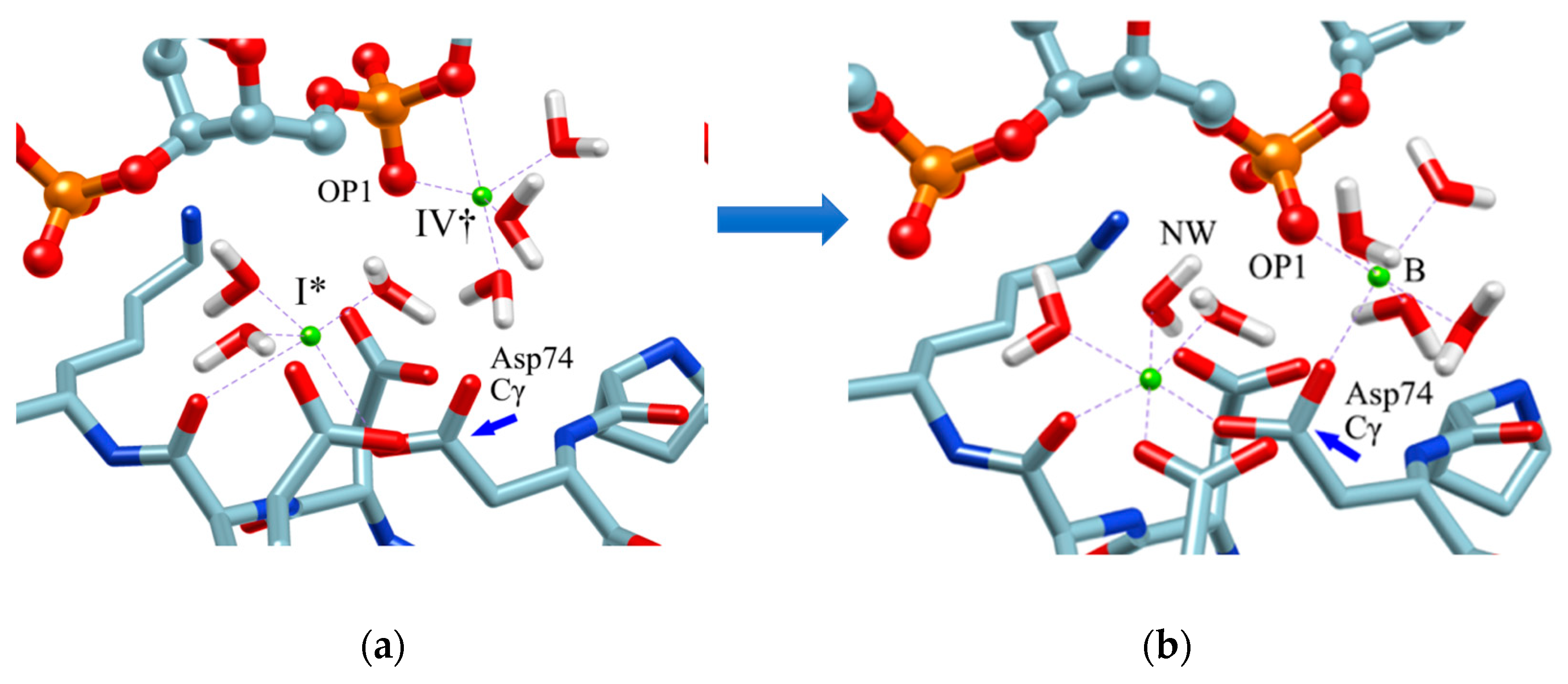 Molecules 26 00271 g008