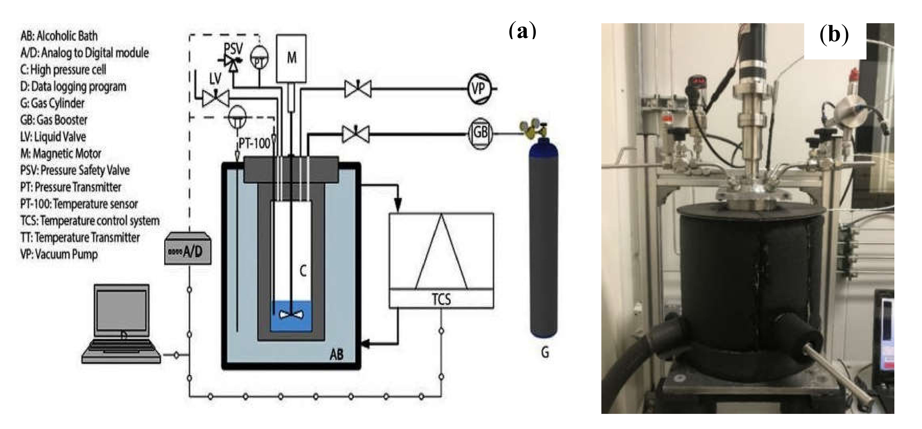 Molecules 26 00275 g005 Molecules 26 00275 g005