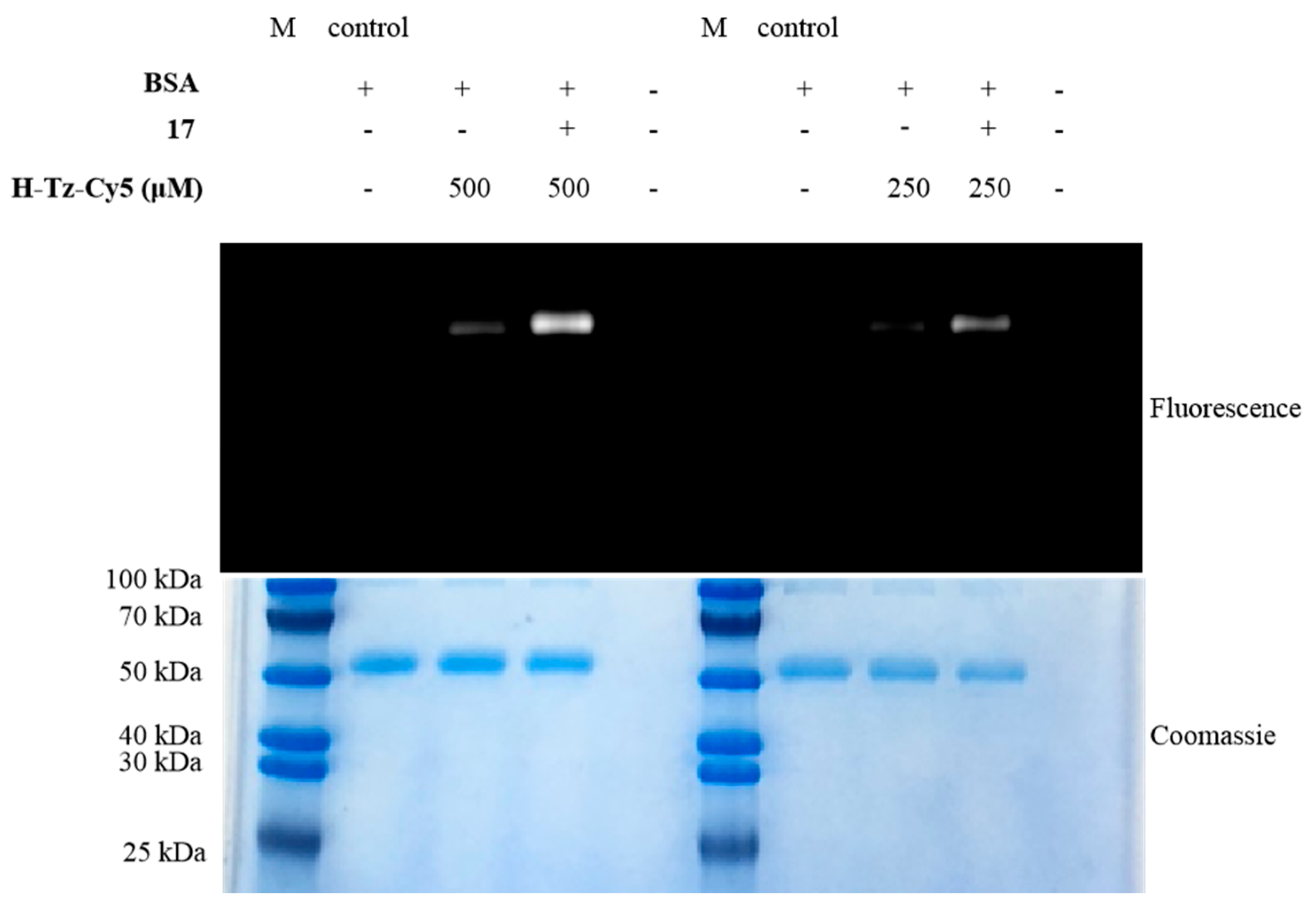 Molecules 26 00276 g003