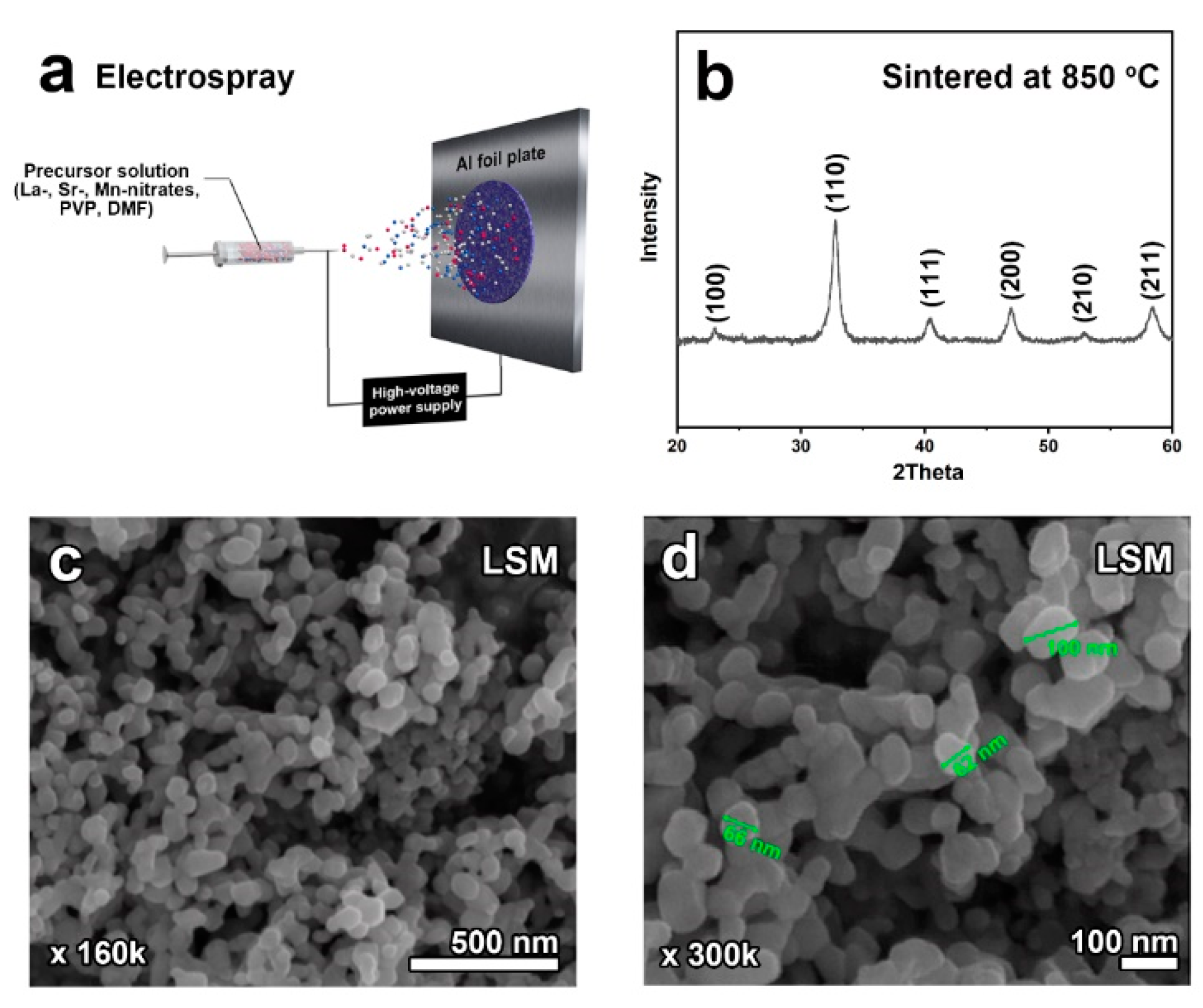 Molecules 26 00277 g001 Molecules 26 00277 g001