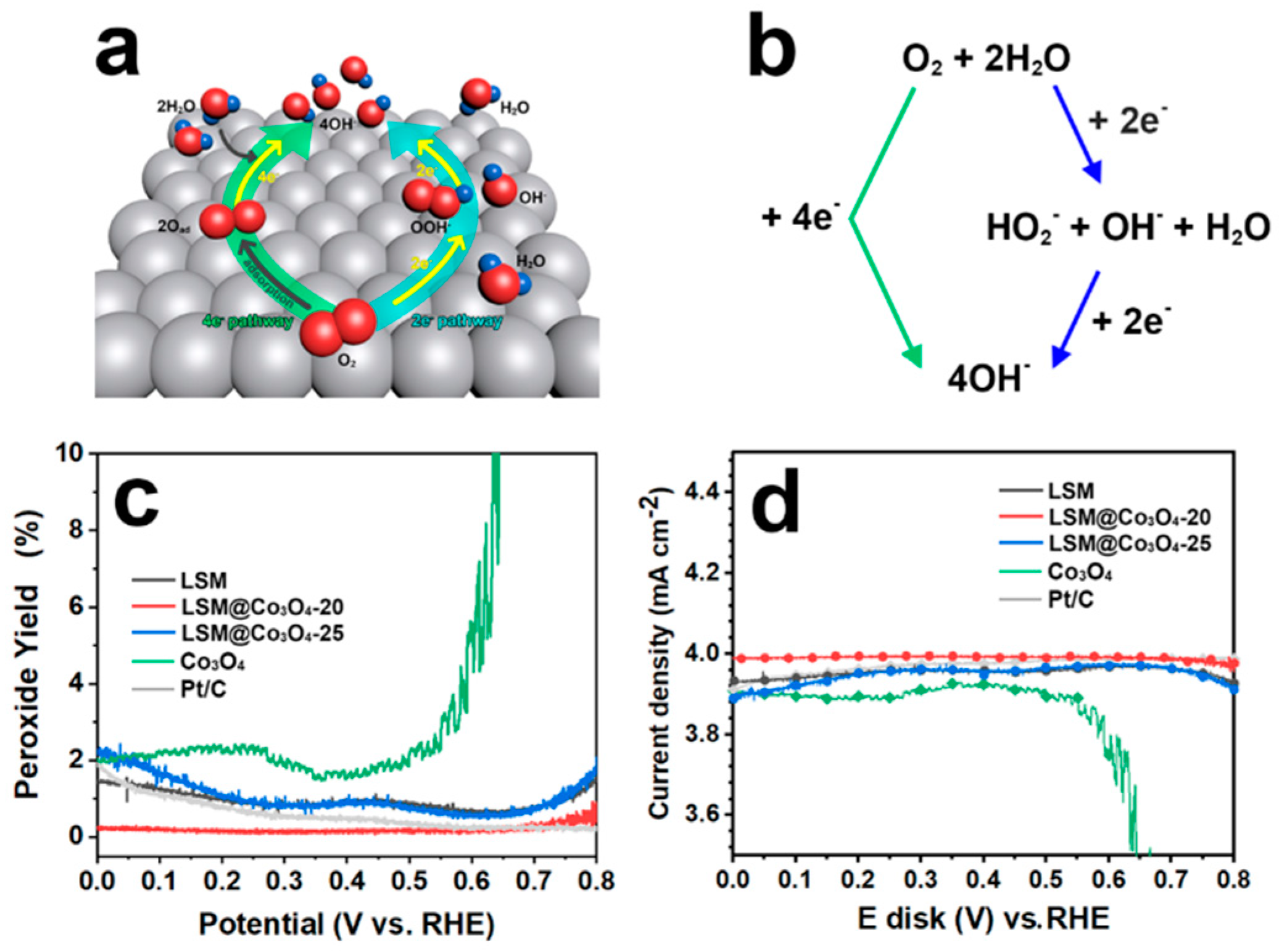 Molecules 26 00277 g004 Molecules 26 00277 g004