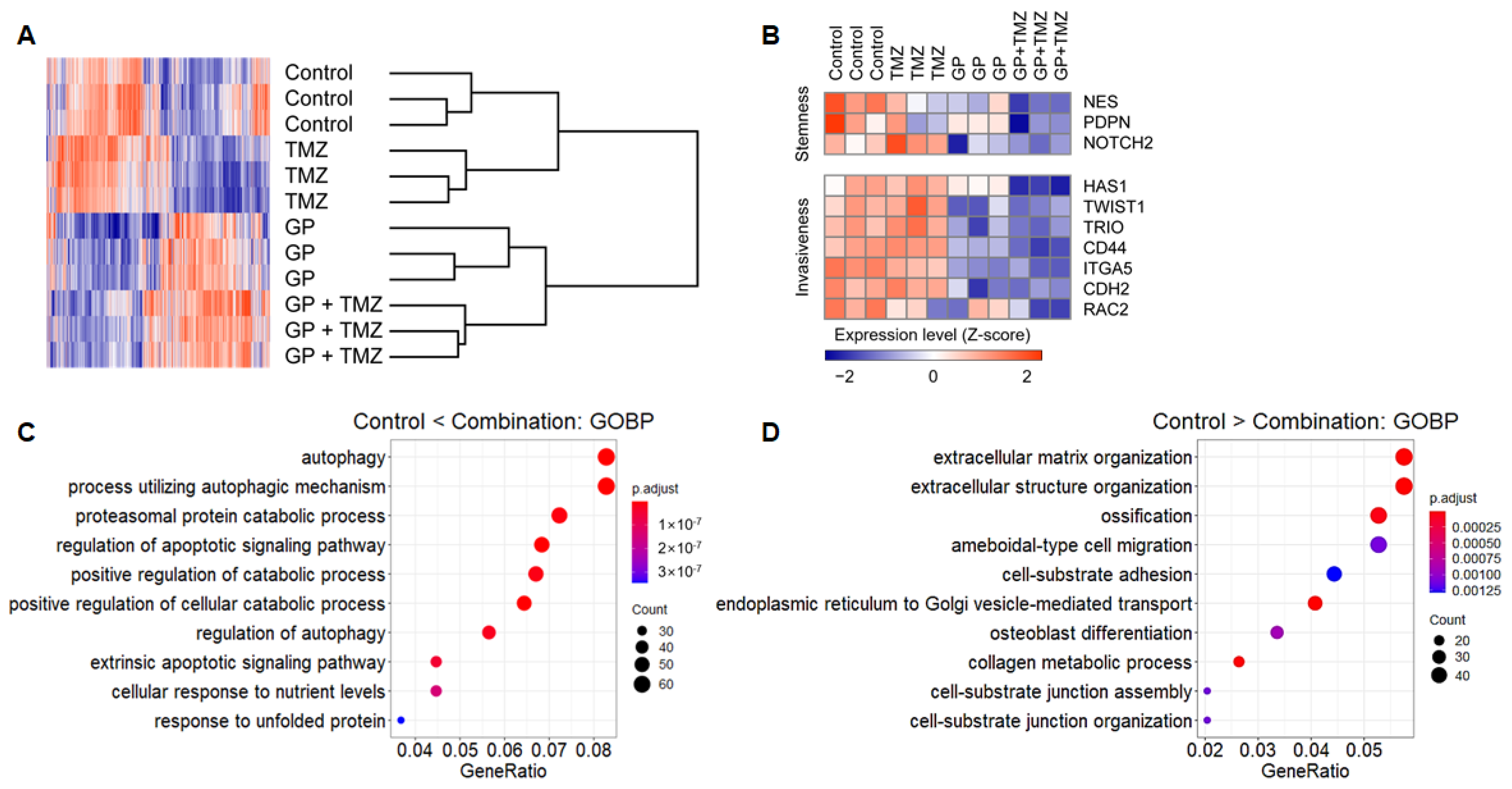 Molecules 26 00282 g004