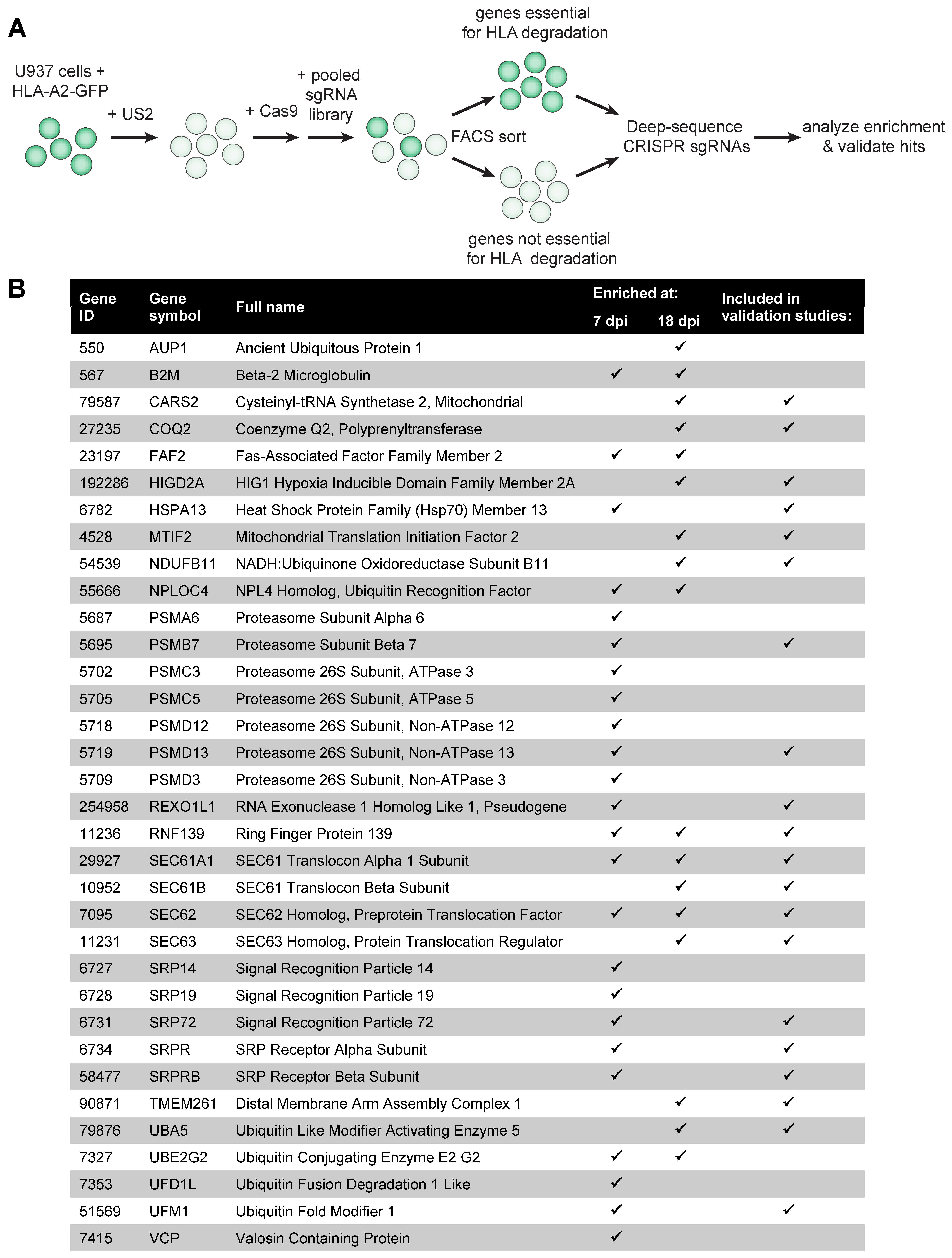 Molecules 26 00287 g001a