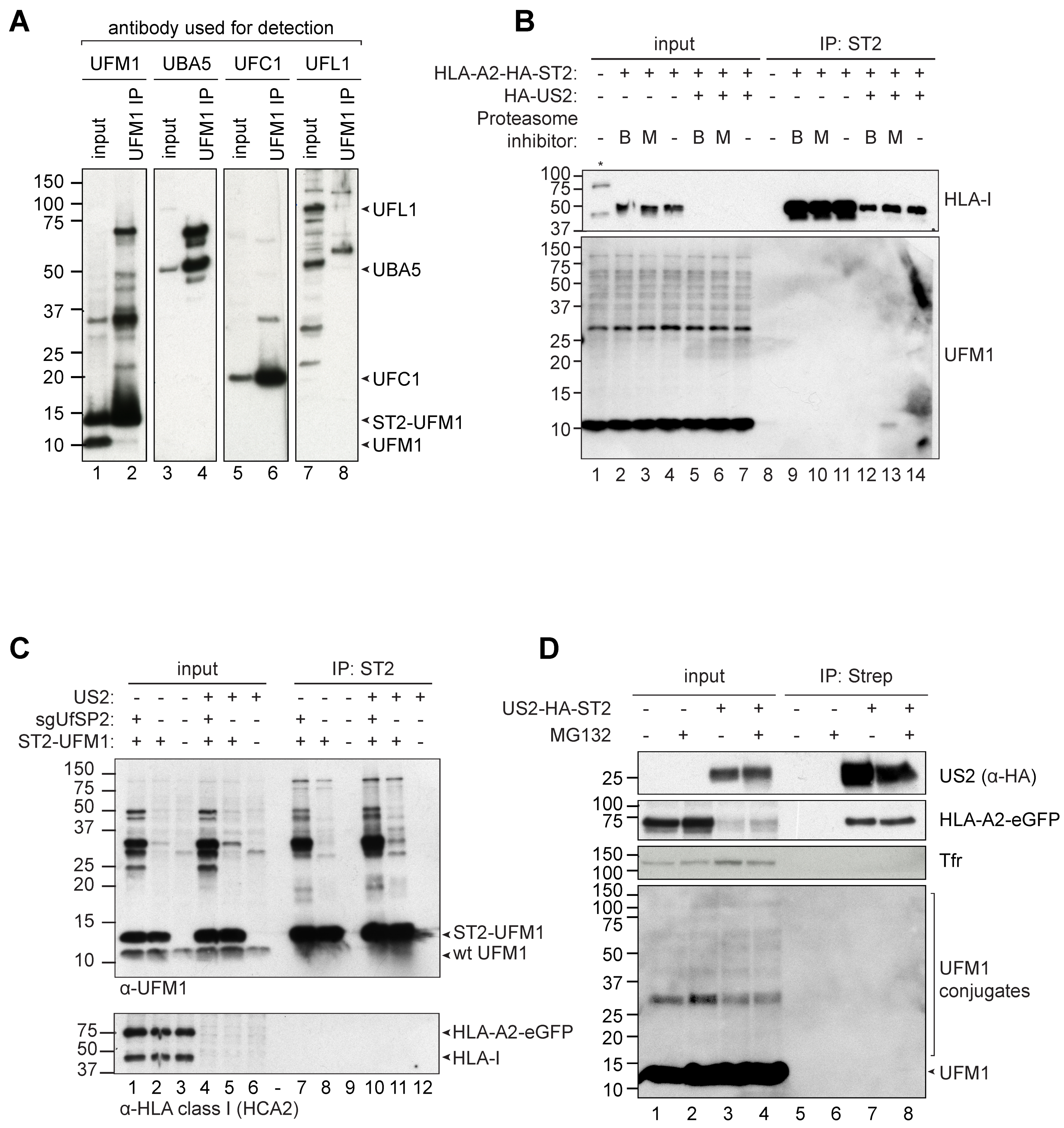 Molecules 26 00287 g004