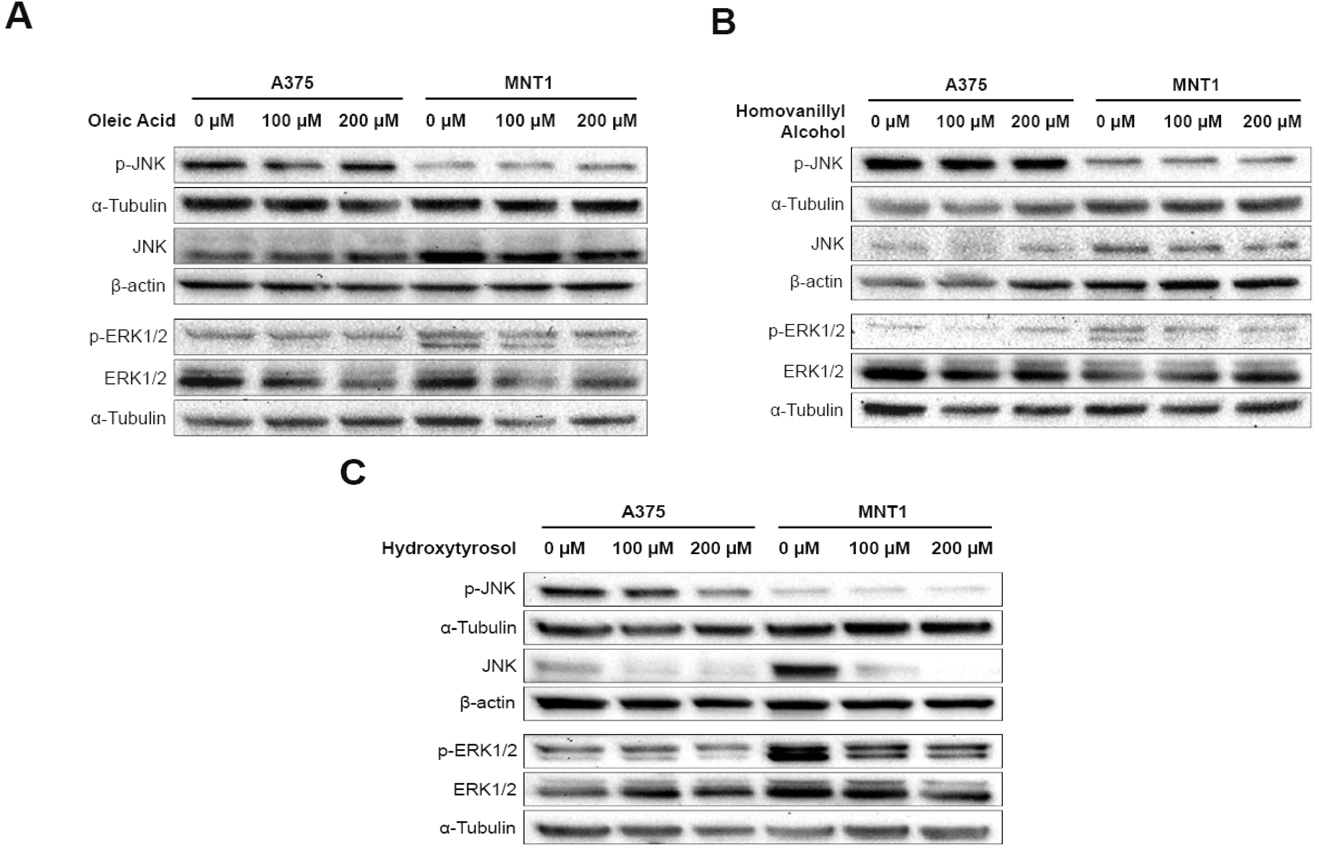 Molecules 26 00289 g003 Molecules 26 00289 g003