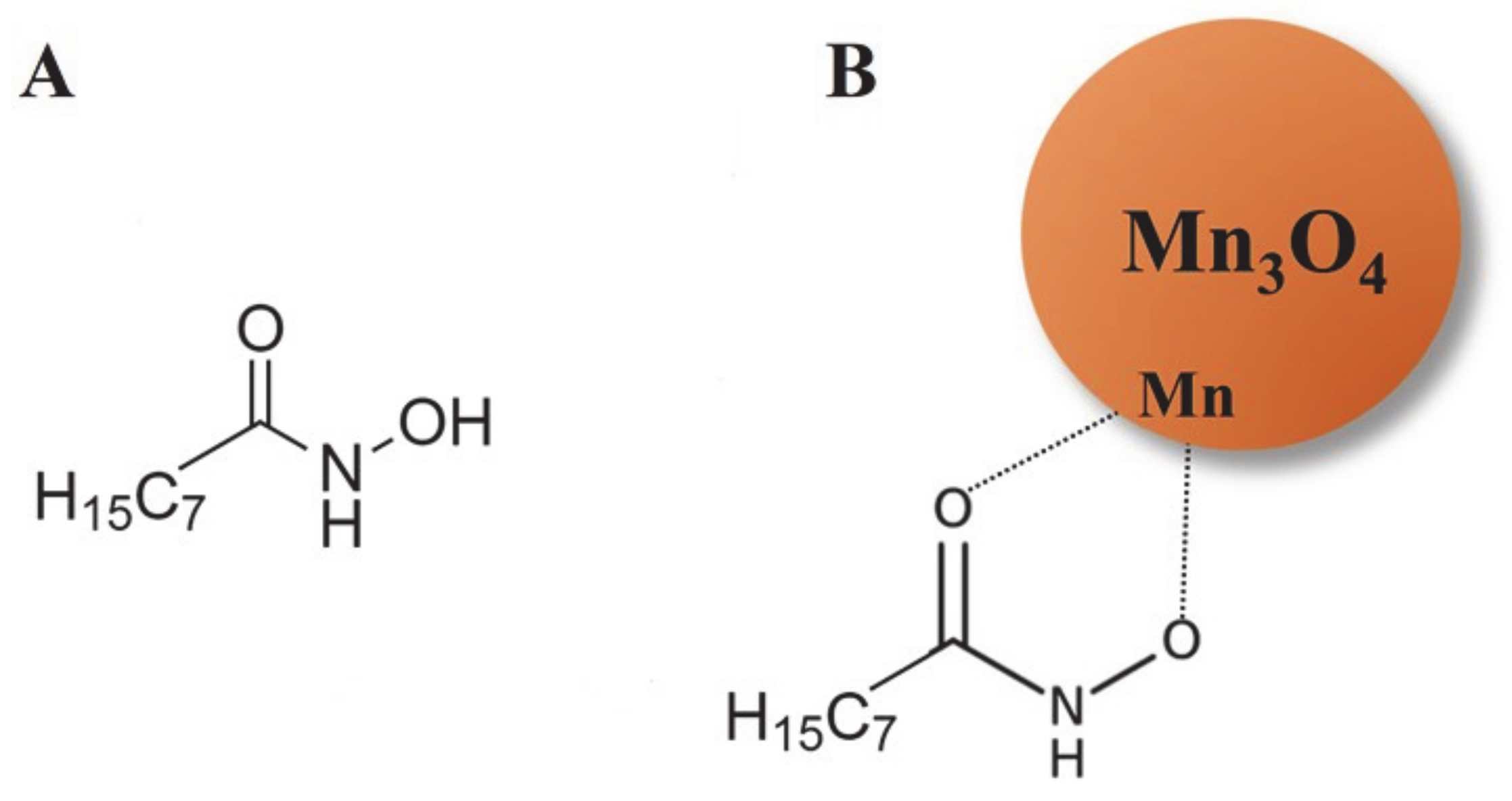 Molecules 26 00296 g004 Molecules 26 00296 g004