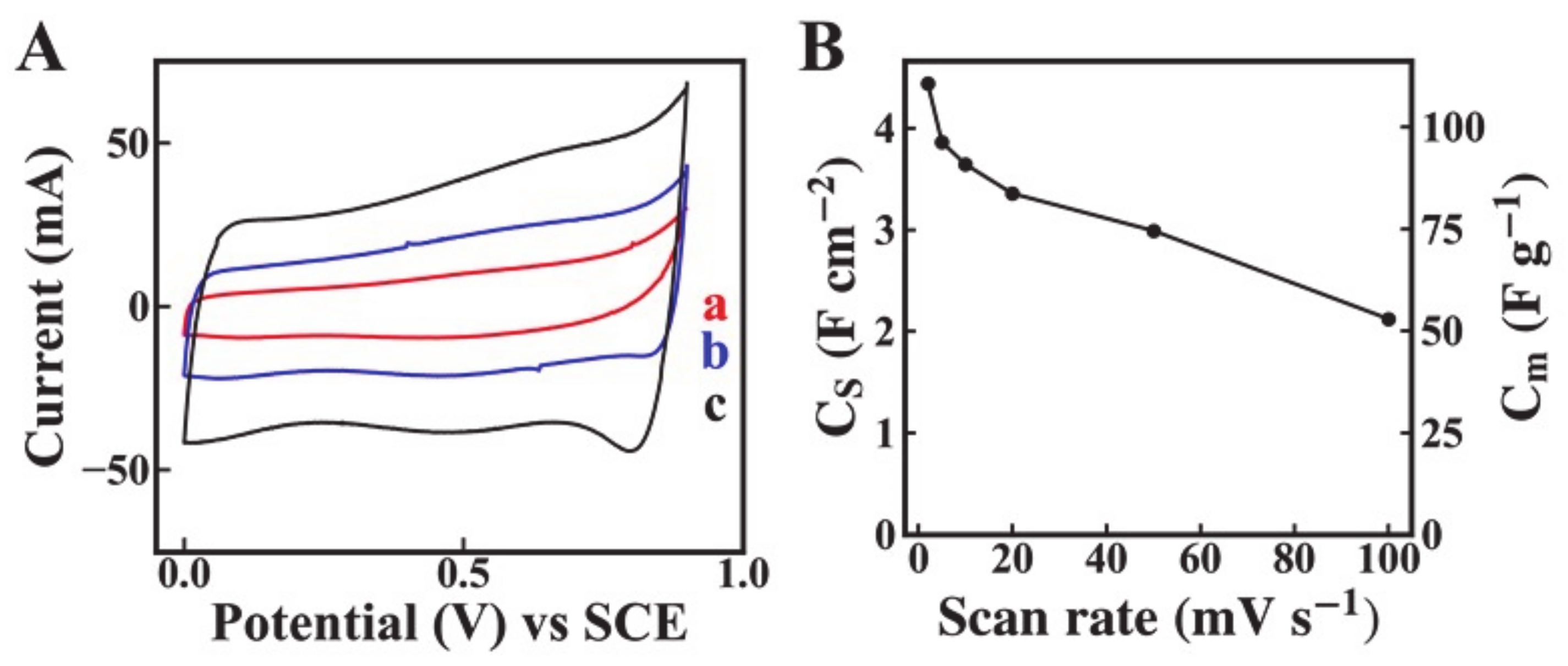 Molecules 26 00296 g005 Molecules 26 00296 g005