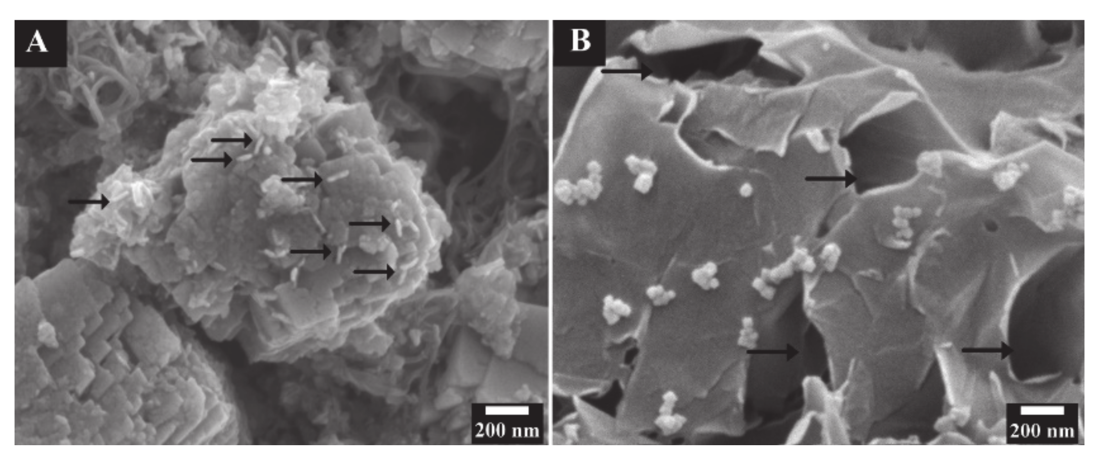 Molecules 26 00296 g009 Molecules 26 00296 g009