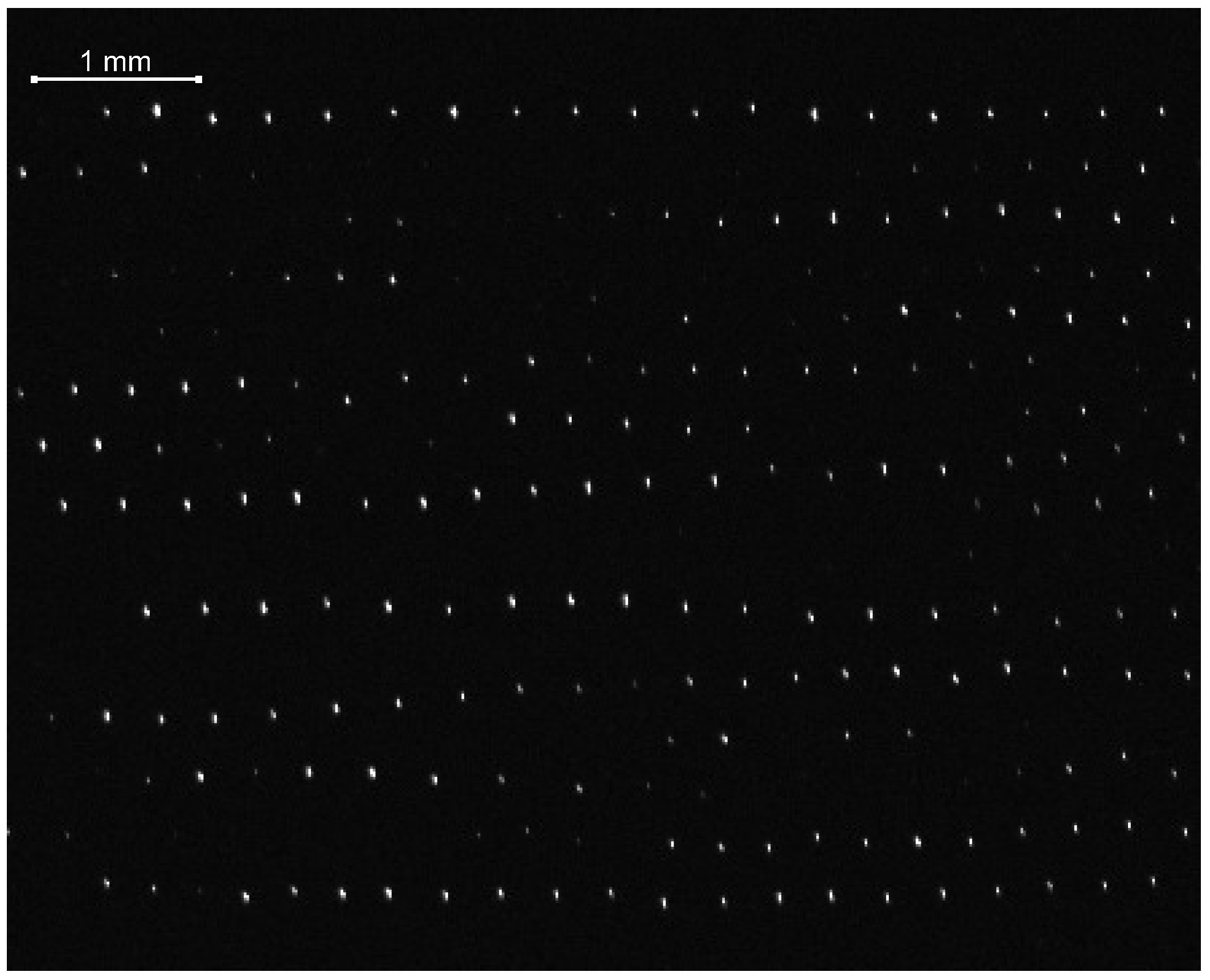 Molecules 26 00308 g001