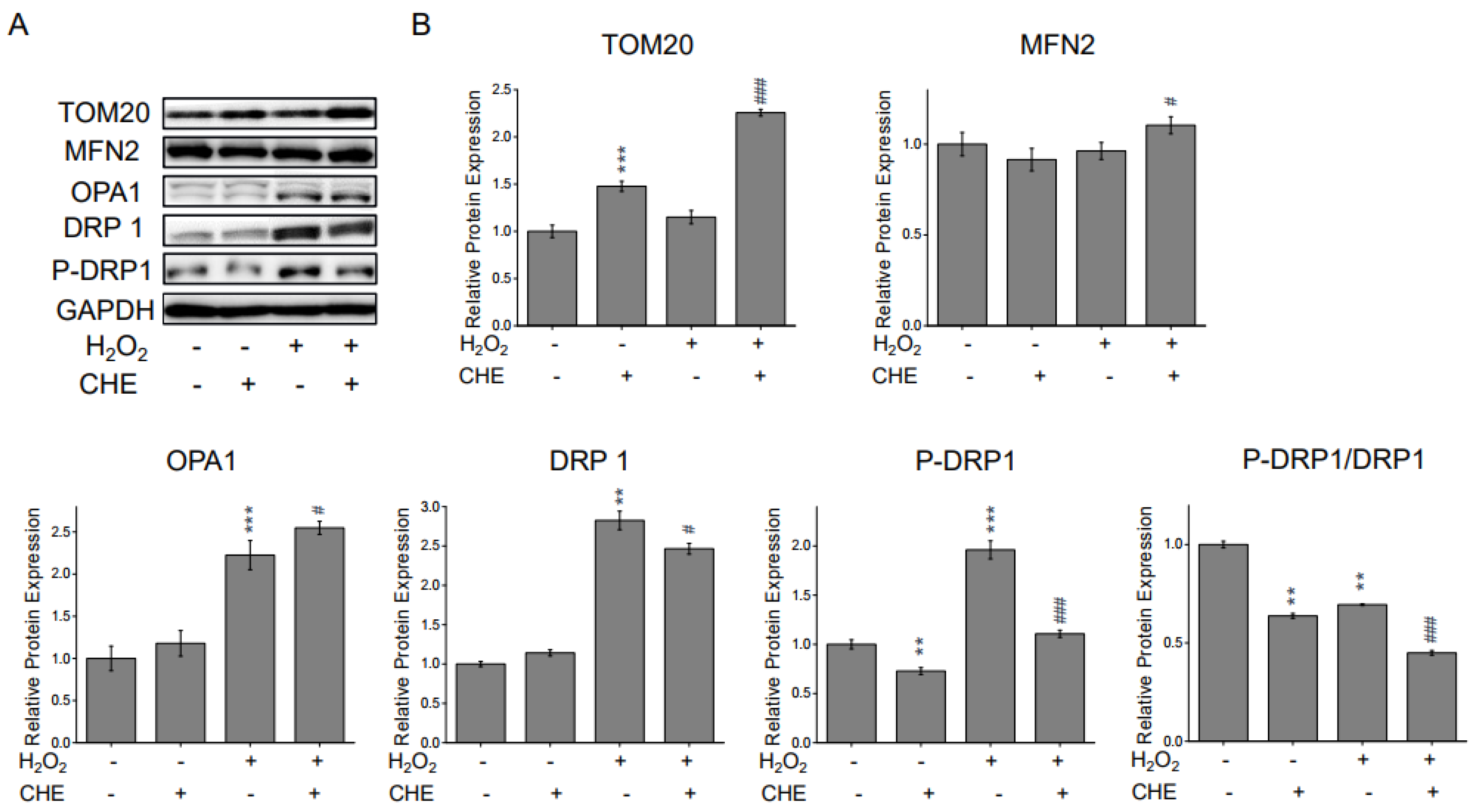 Molecules 26 00313 g005 Molecules 26 00313 g005