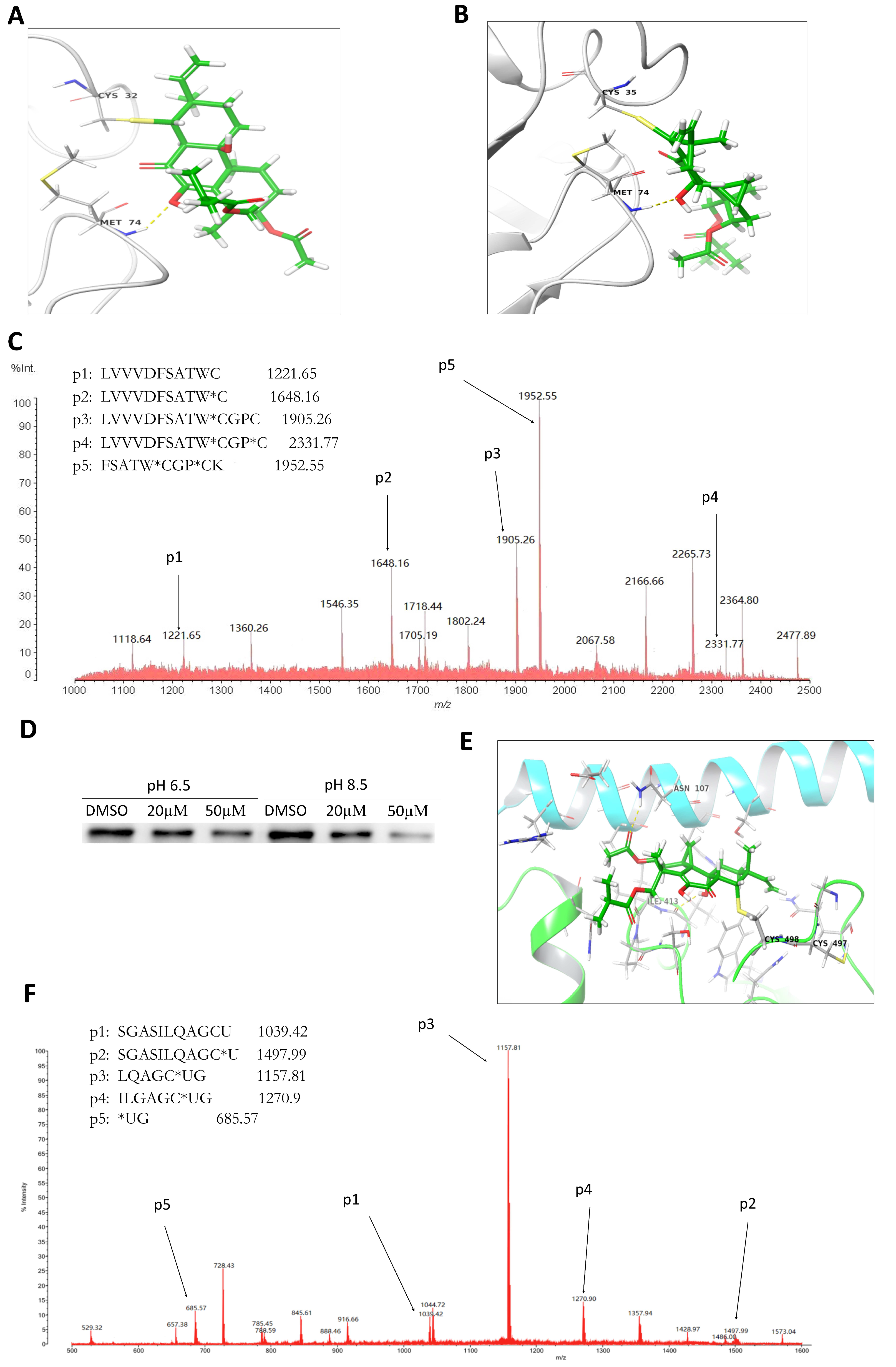 Molecules 26 00315 g004