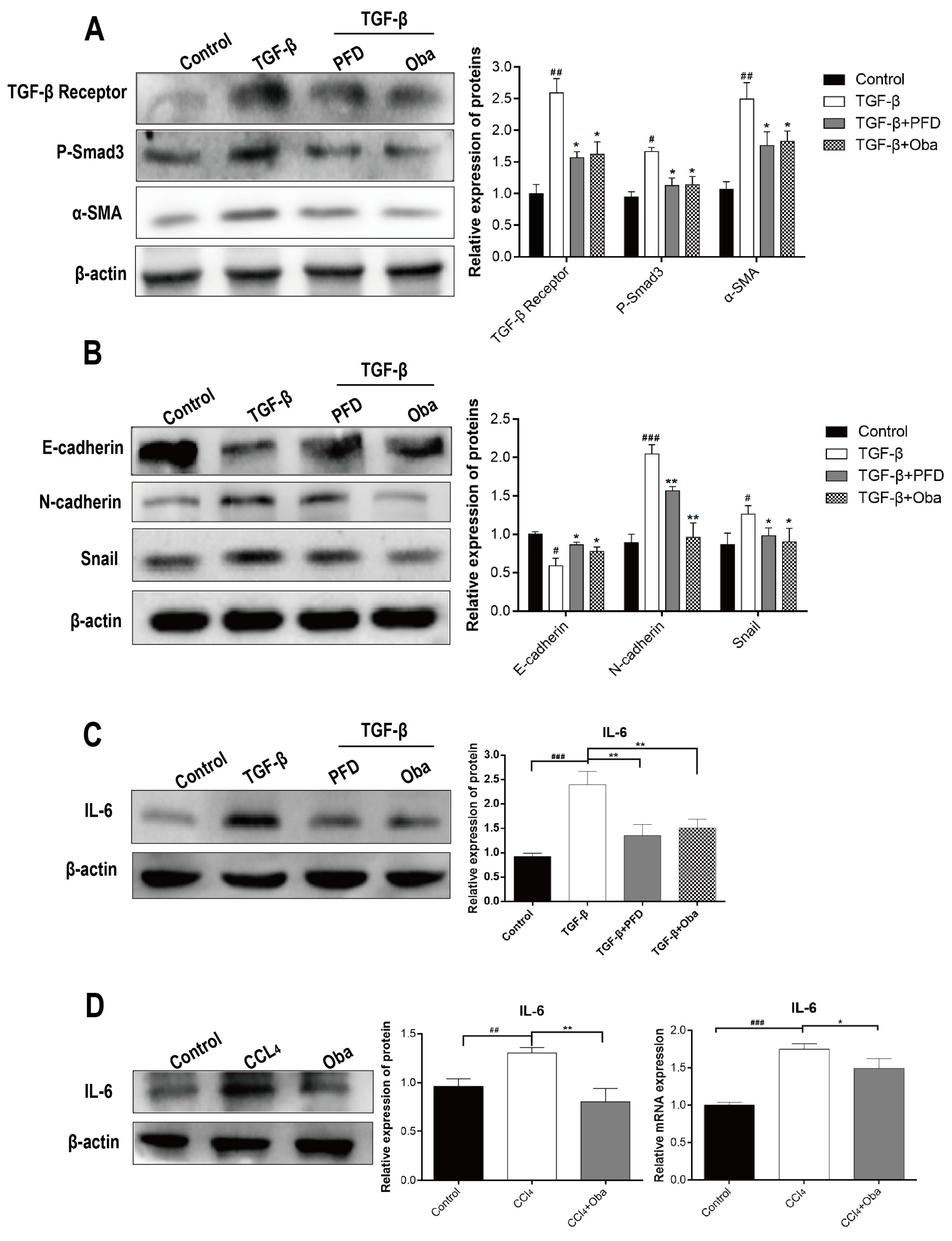 Molecules 26 00318 g002 Molecules 26 00318 g002
