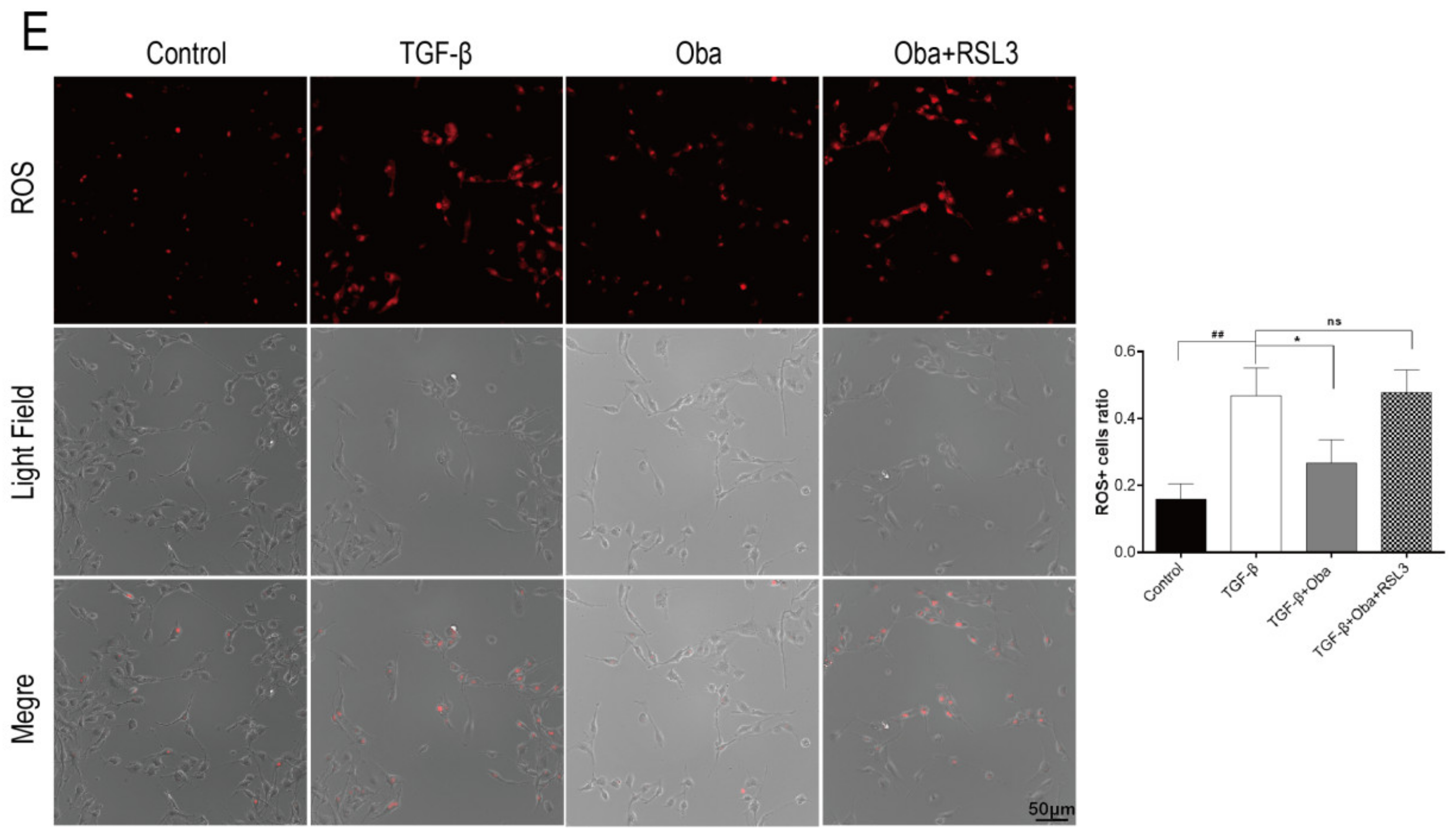 Molecules 26 00318 g003b Molecules 26 00318 g003b