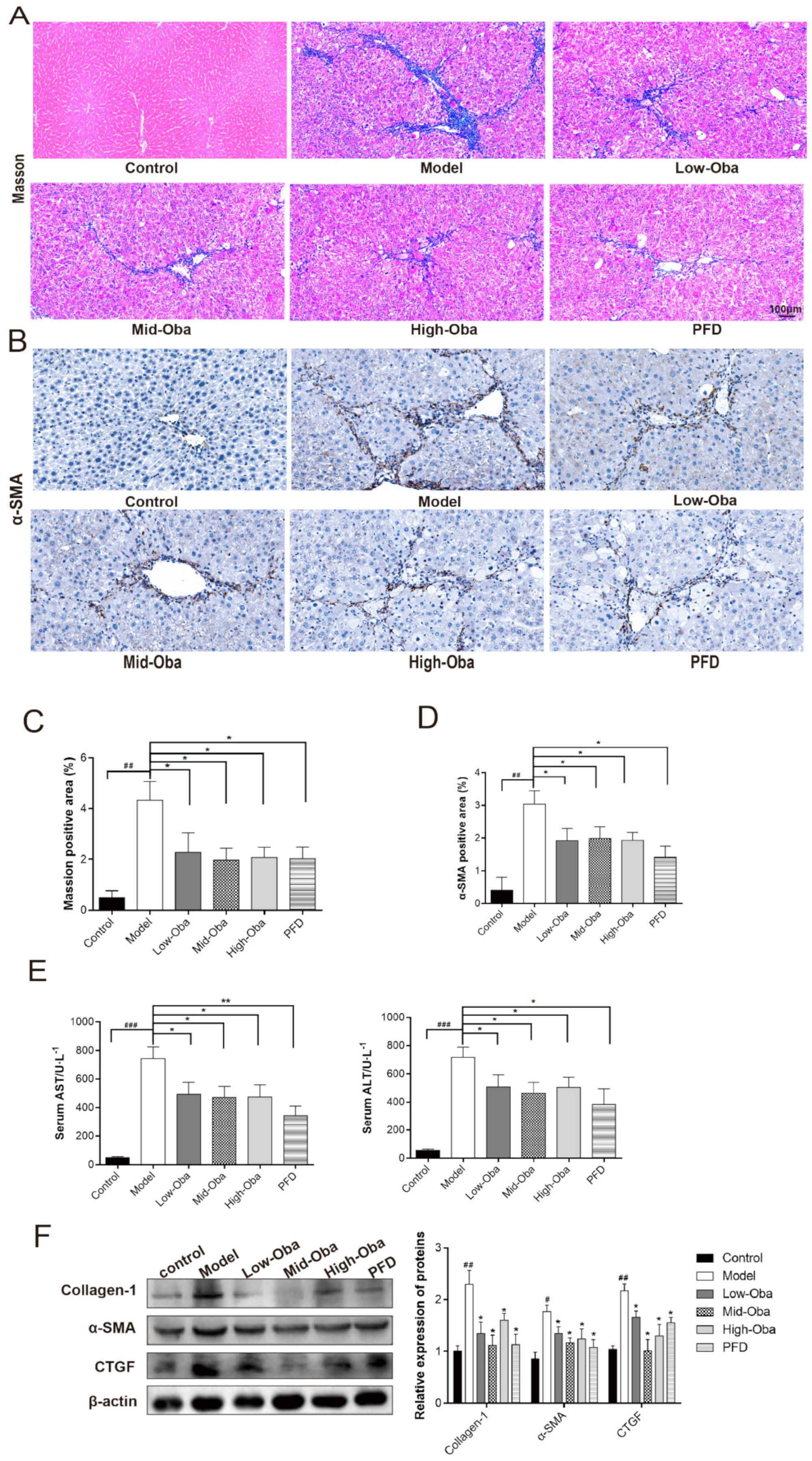 Molecules 26 00318 g004 Molecules 26 00318 g004