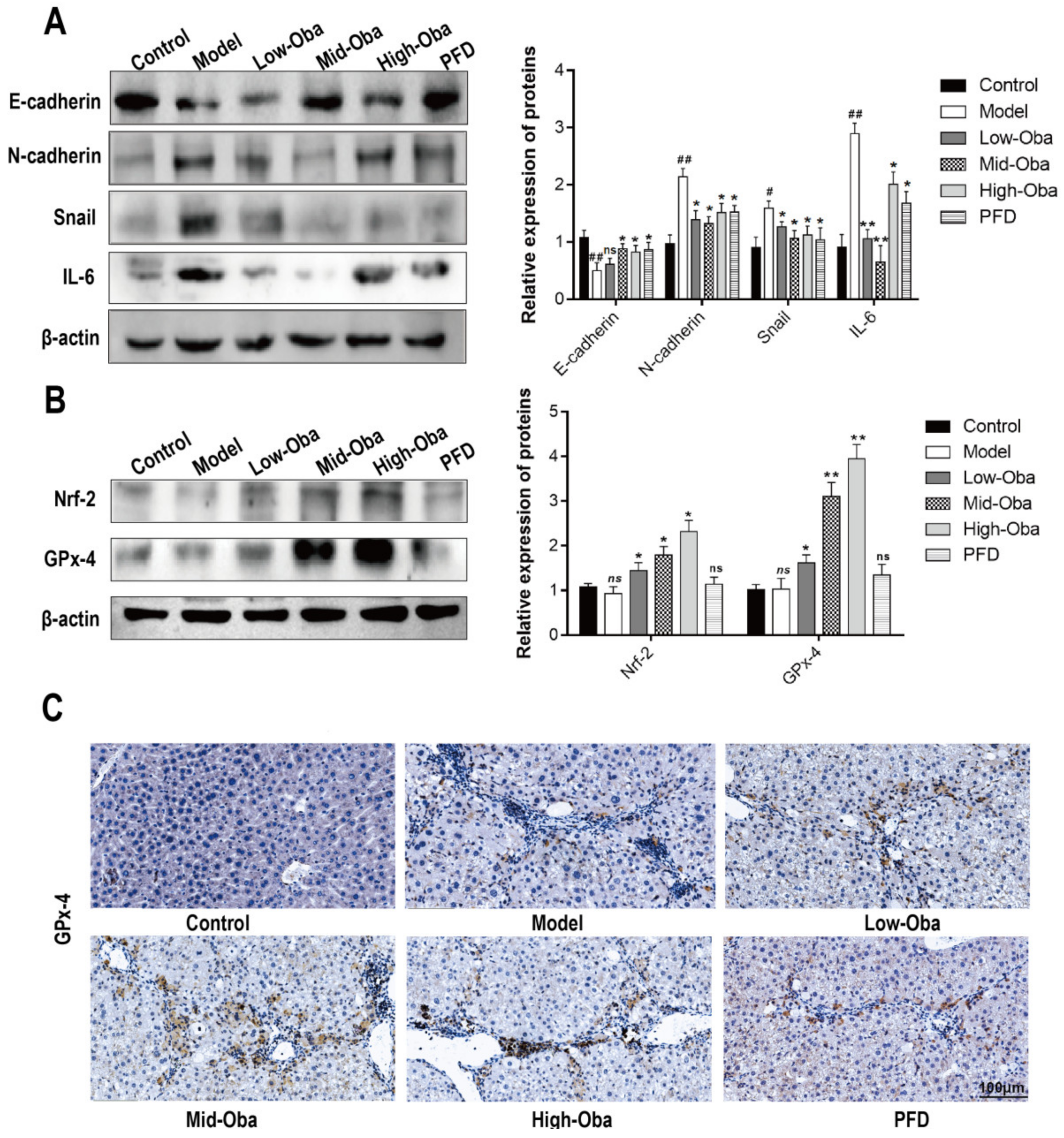 Molecules 26 00318 g005a Molecules 26 00318 g005a