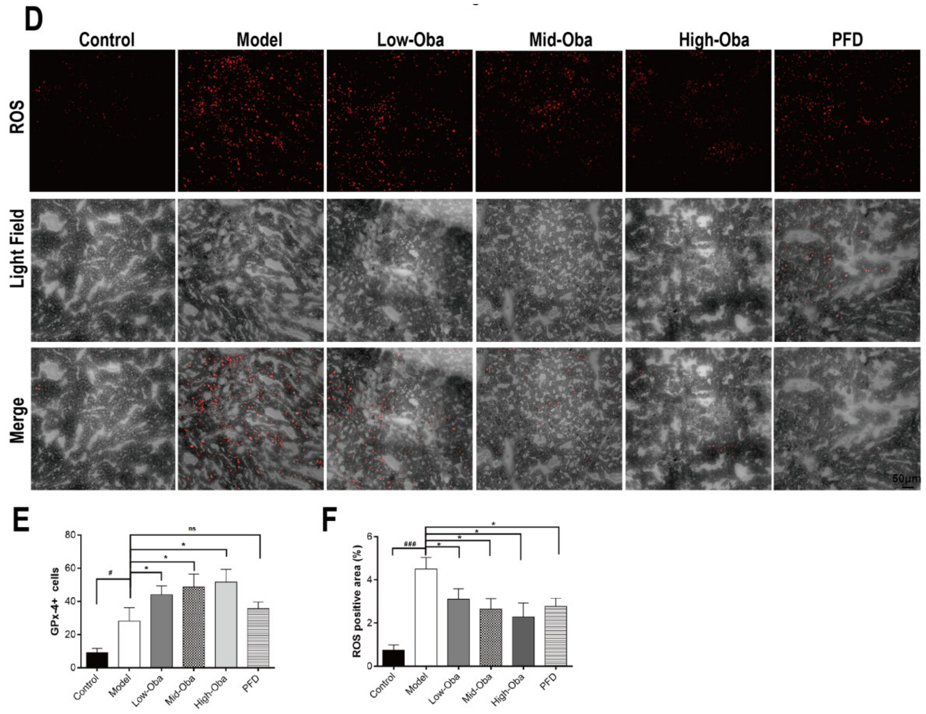 Molecules 26 00318 g005b Molecules 26 00318 g005b