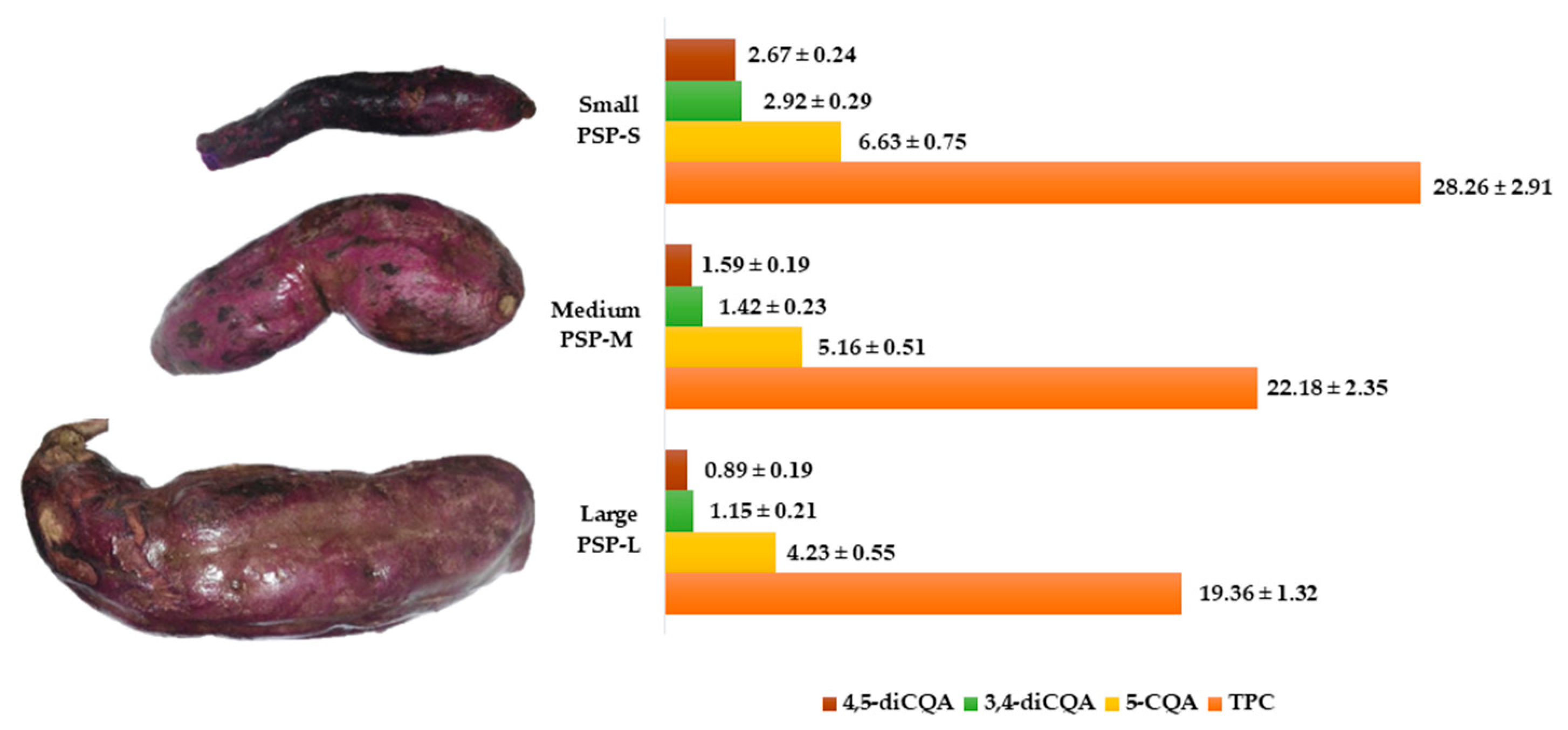 Molecules 26 00319 g001 Molecules 26 00319 g001