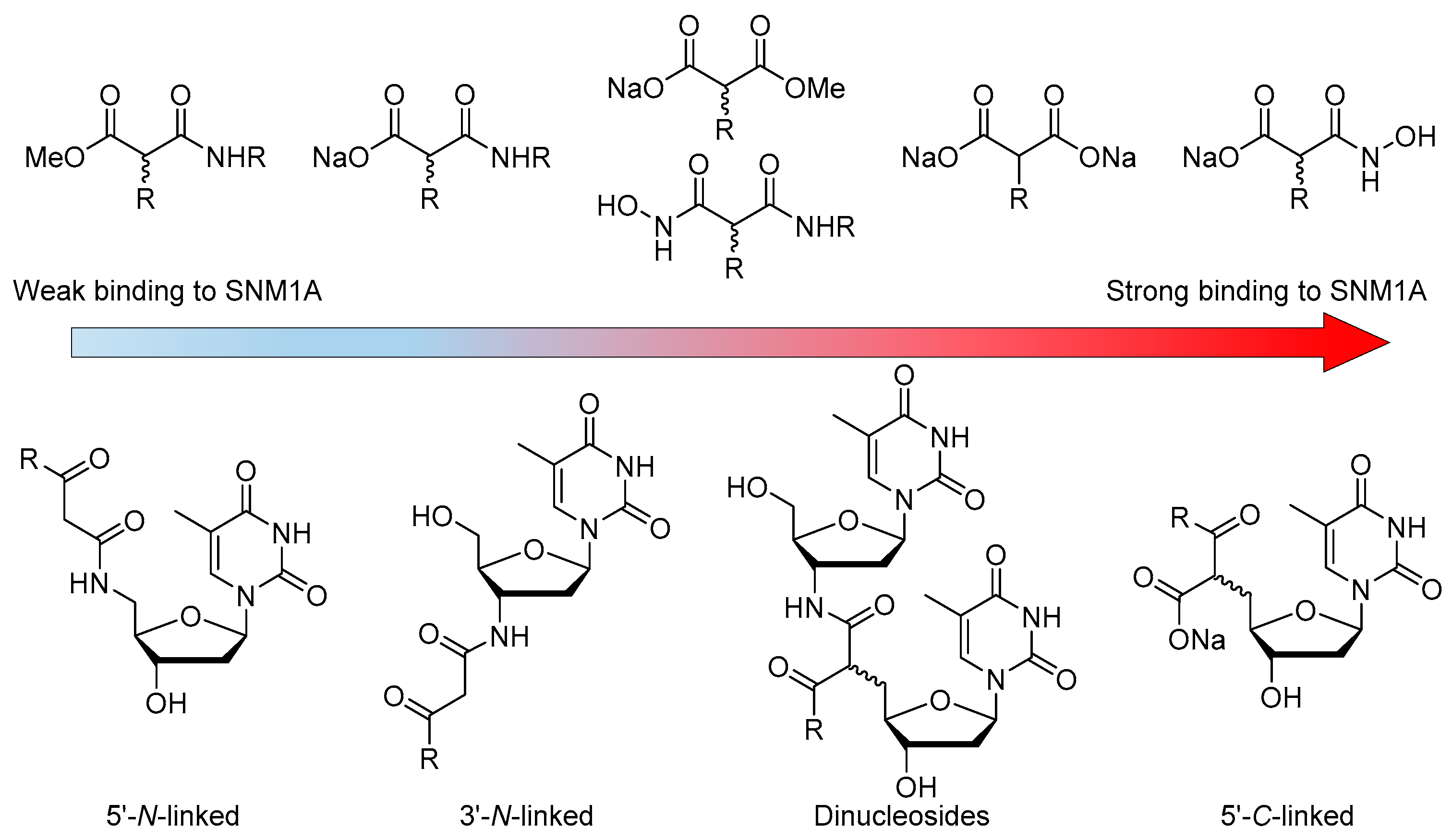 Molecules 26 00320 g004