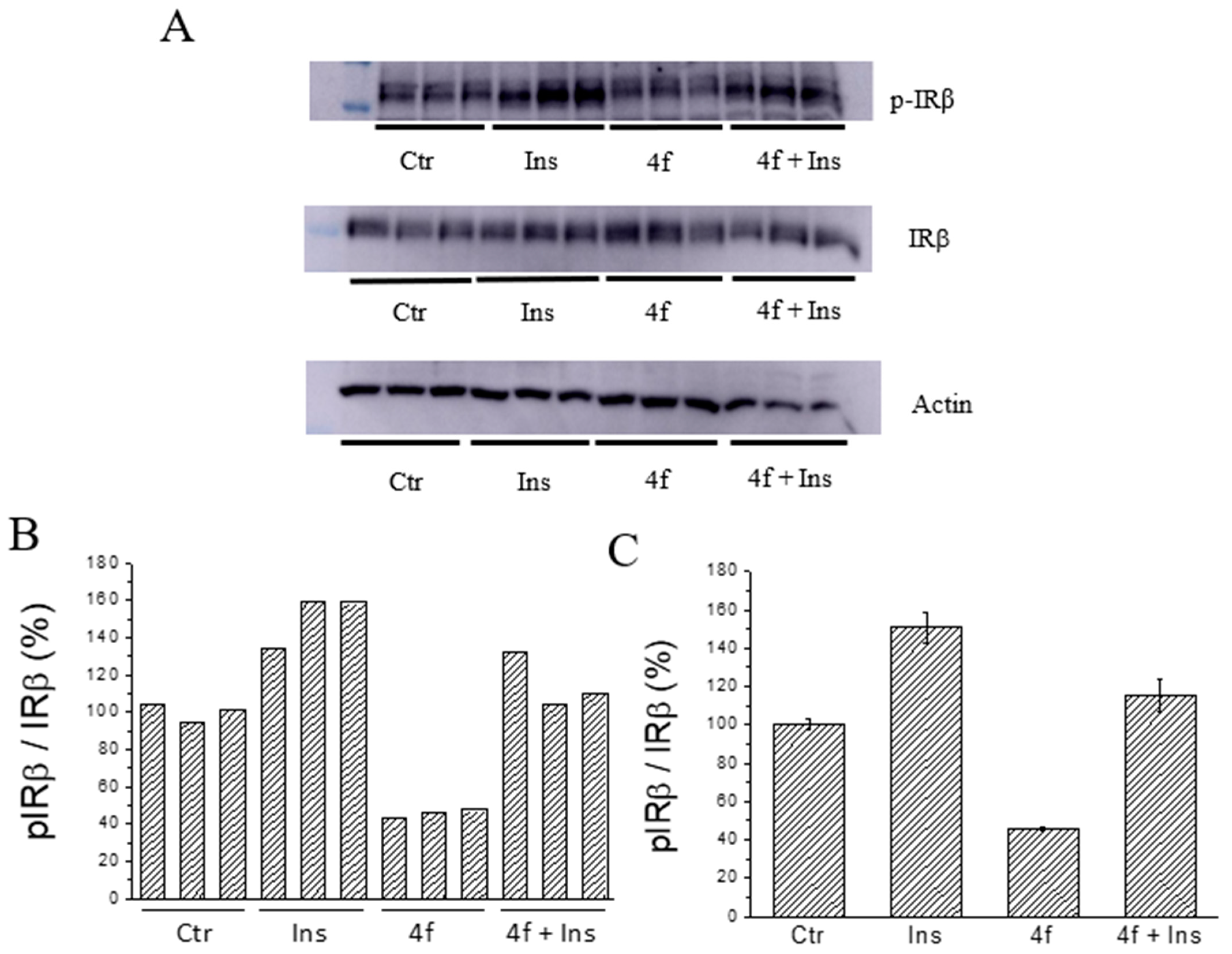 Molecules 26 00330 g013 Molecules 26 00330 g013