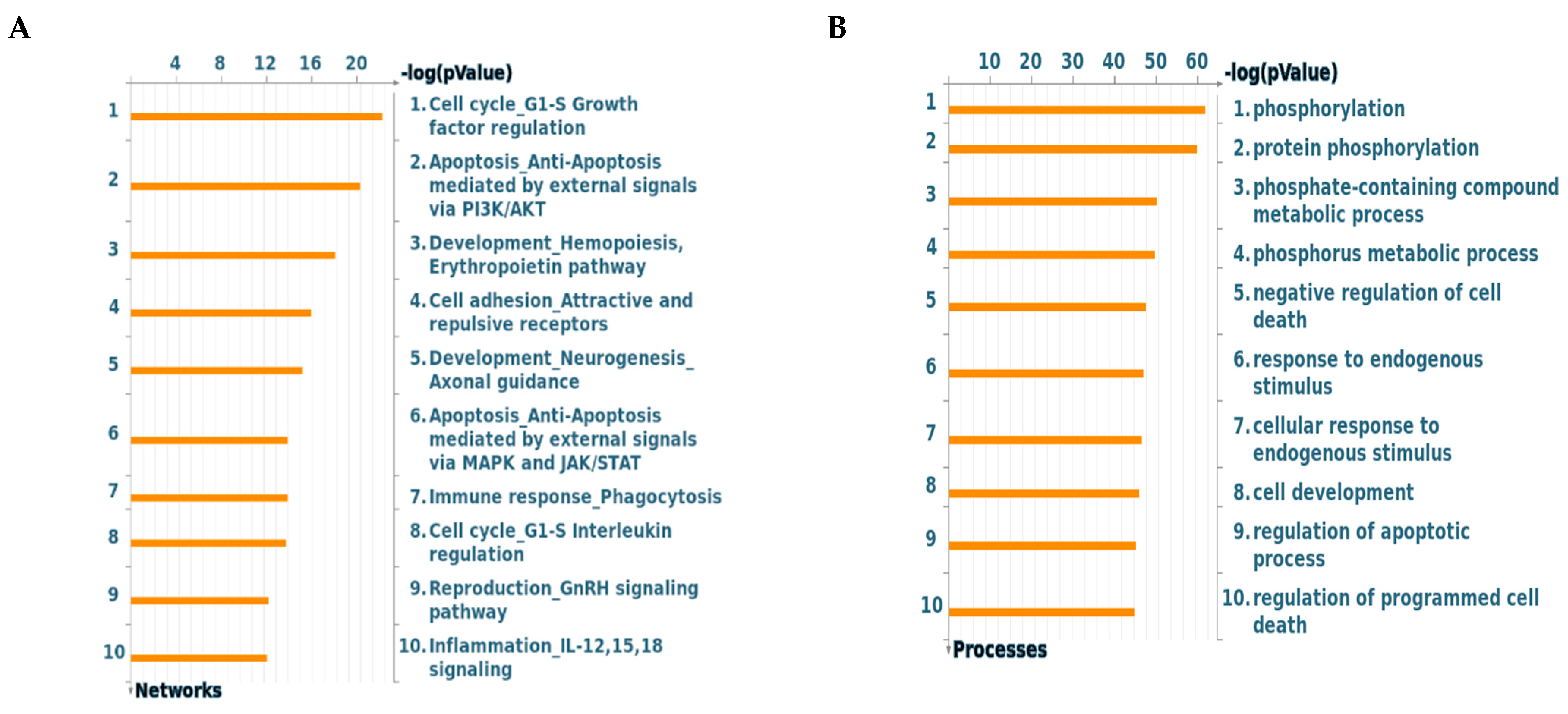 Molecules 26 00334 g003