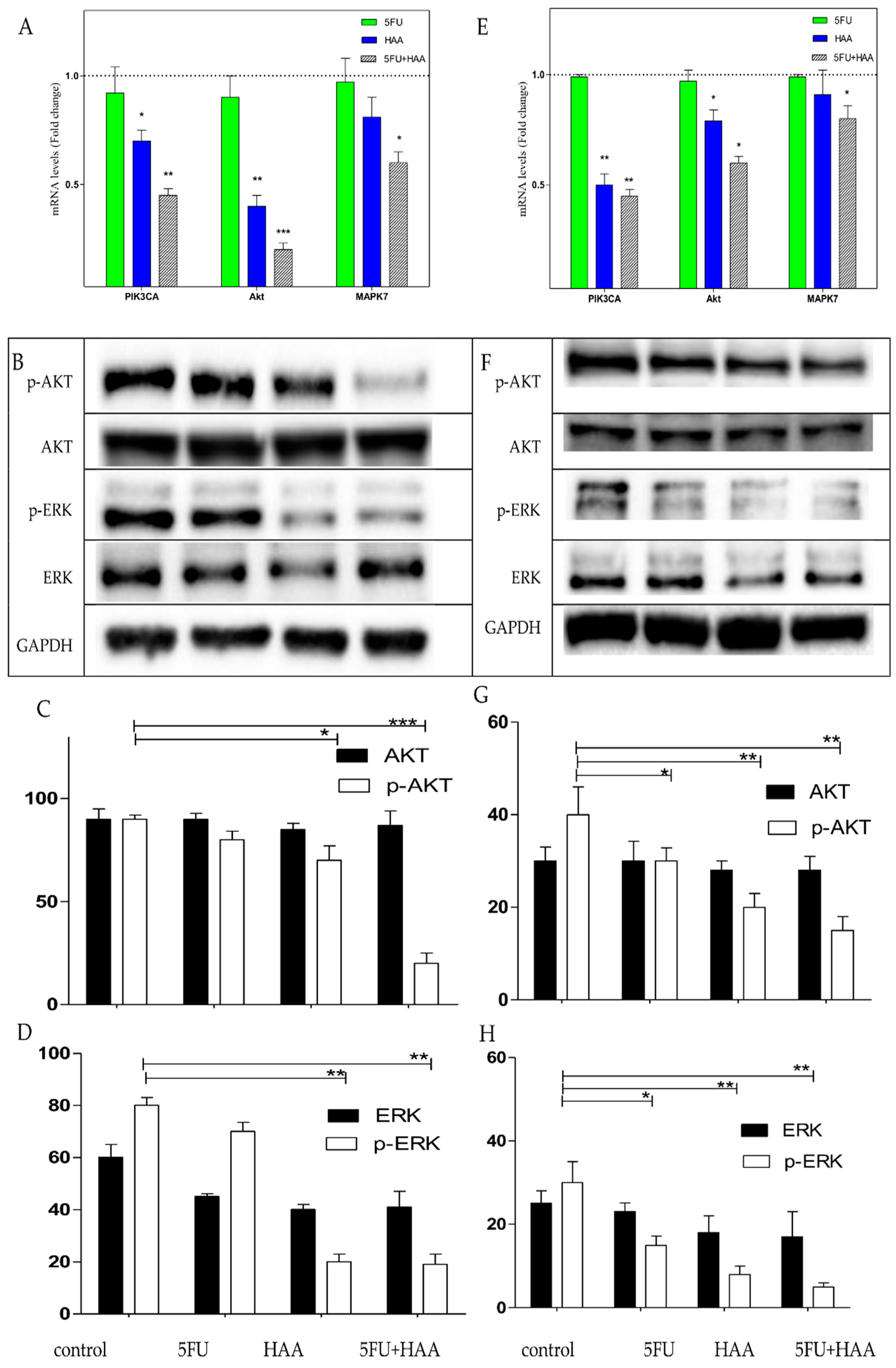 Chemosensitization of HT29 and HT29-5FU Cell Lines by a Combination of a  Multi-Tyrosine Kinase Inhibitor and 5FU Downregulates ABCC1 and Inhibits  PIK3CA in Light of Their Importance in Saudi Colorectal Cancer