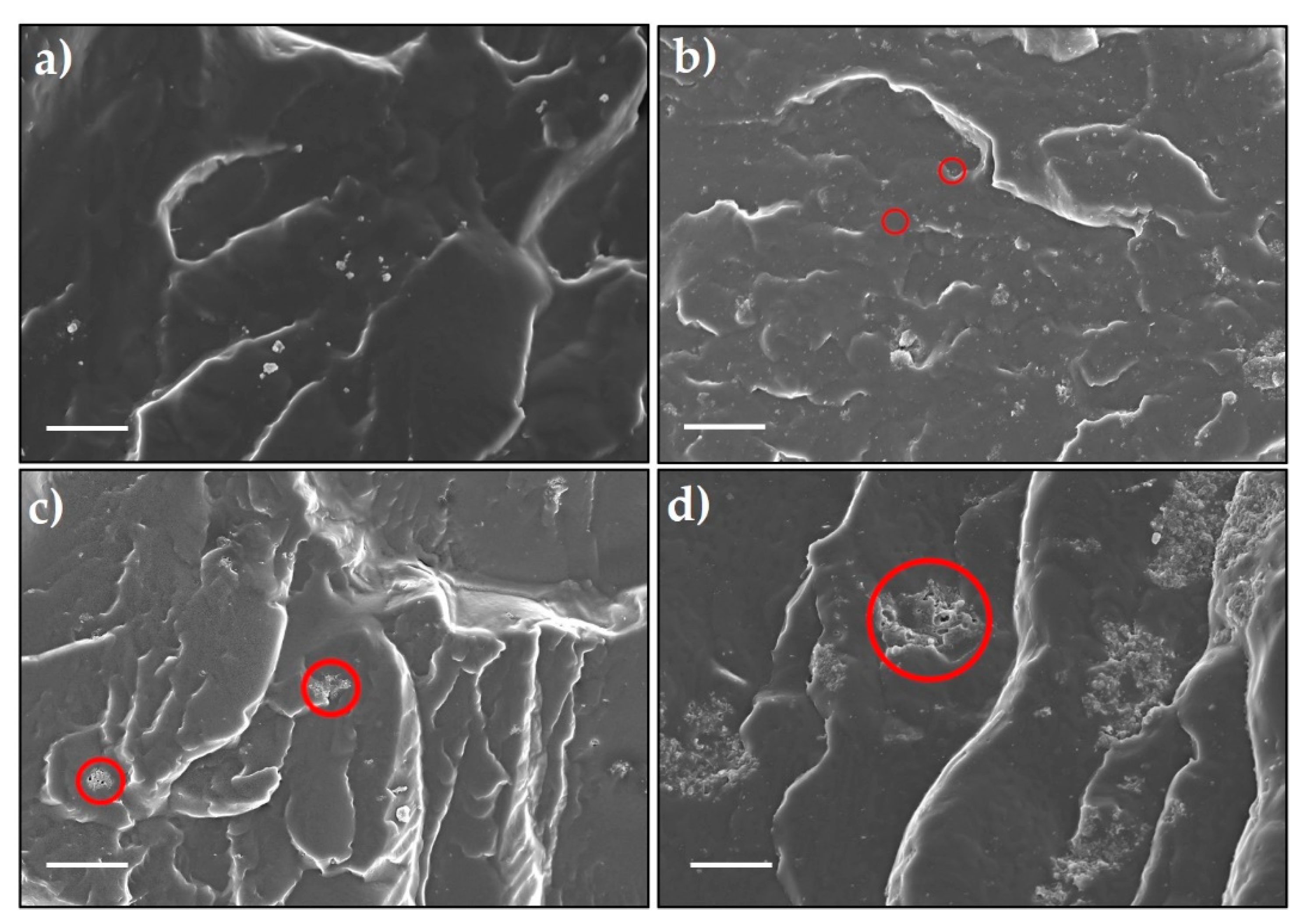 Molecules 26 00340 g005 Molecules 26 00340 g005