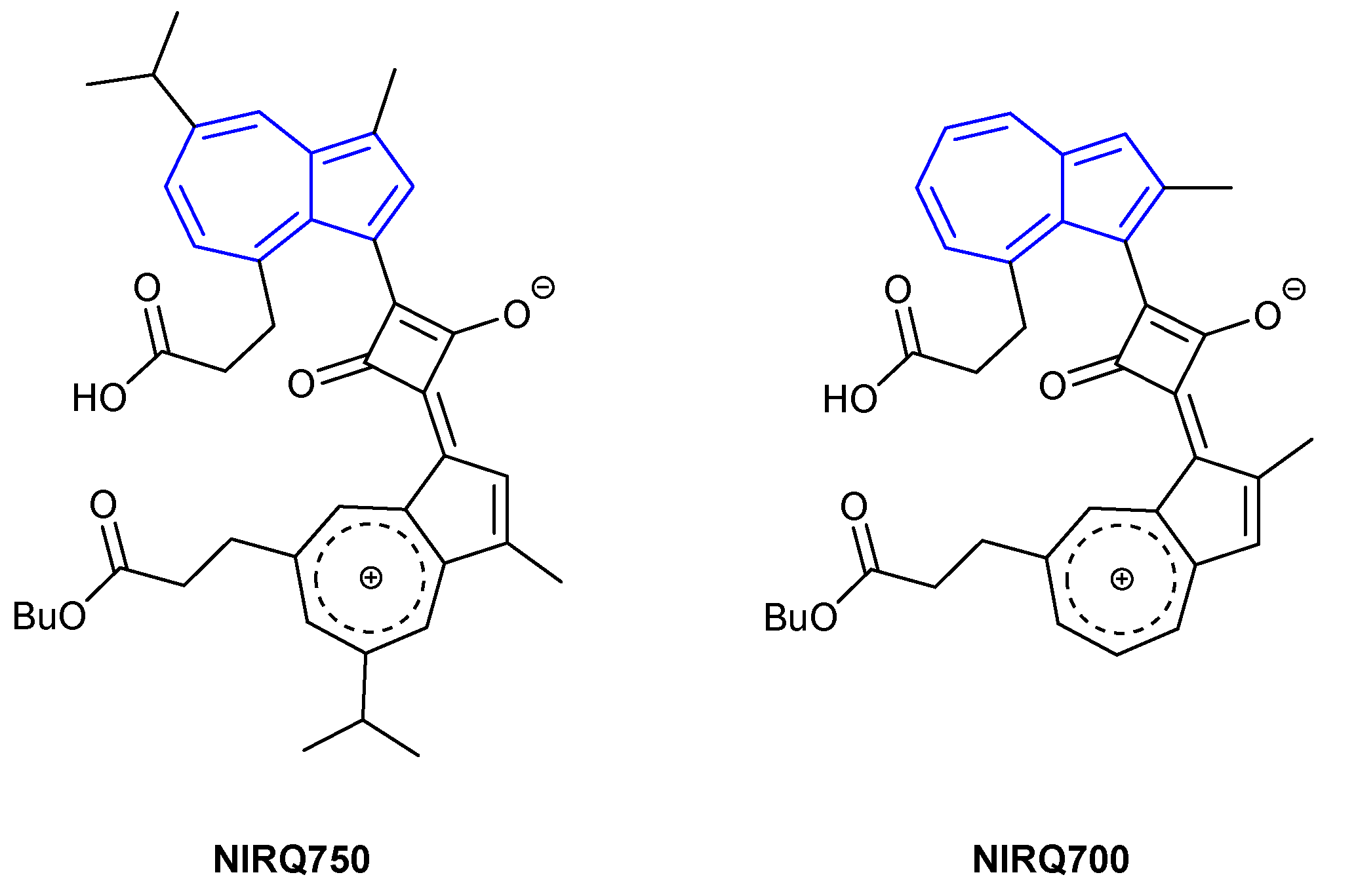 Molecules 26 00353 g016