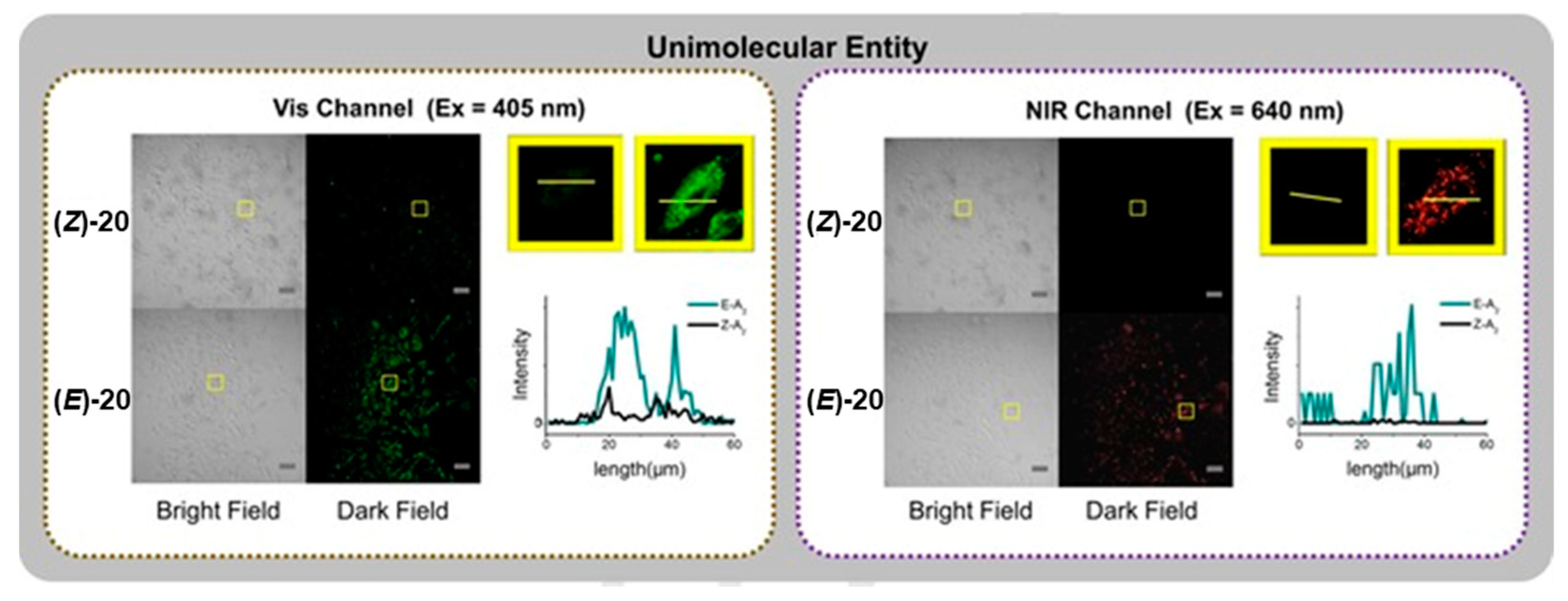 Molecules 26 00353 g017
