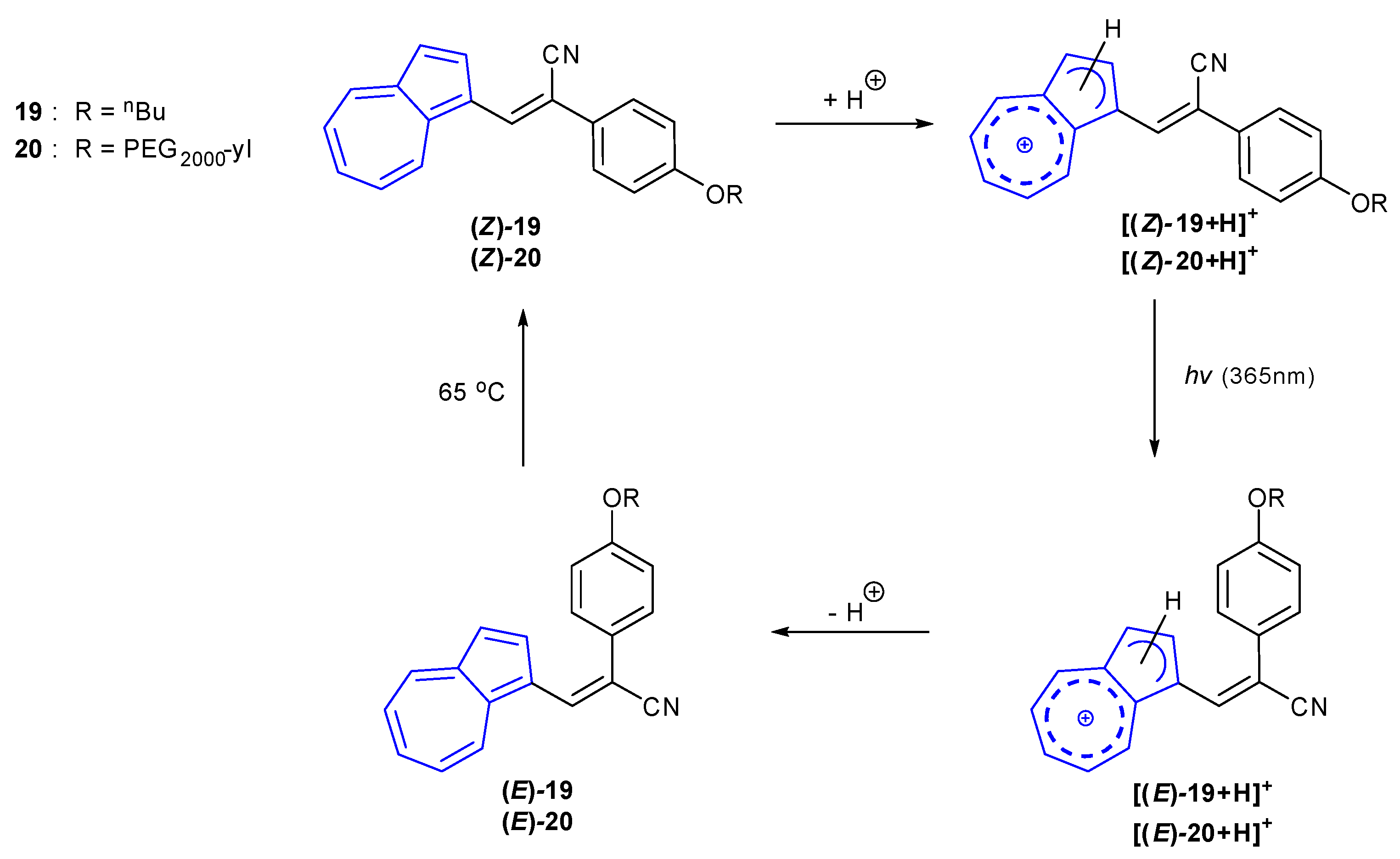 Molecules 26 00353 sch003