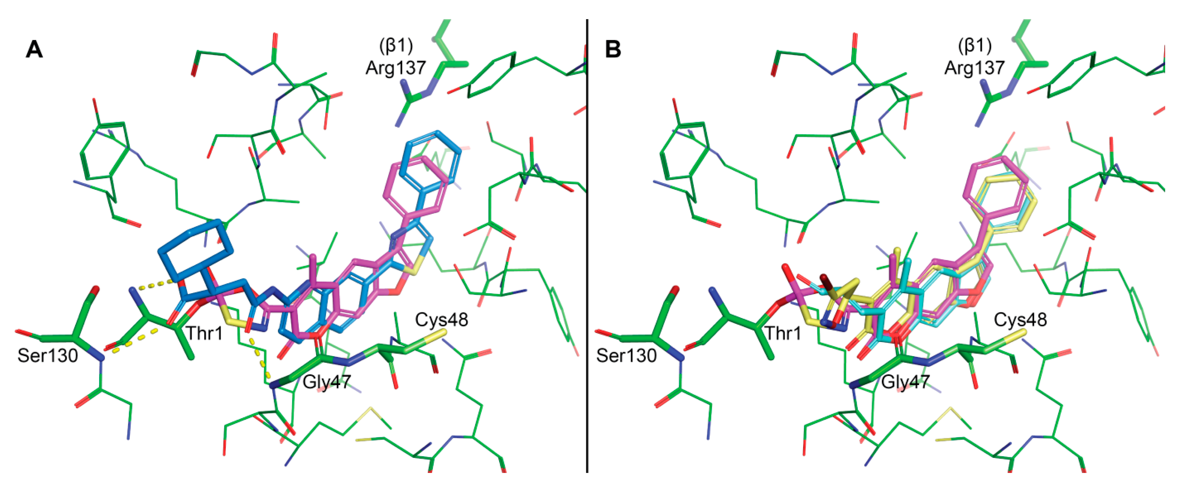 Molecules 26 00356 g007