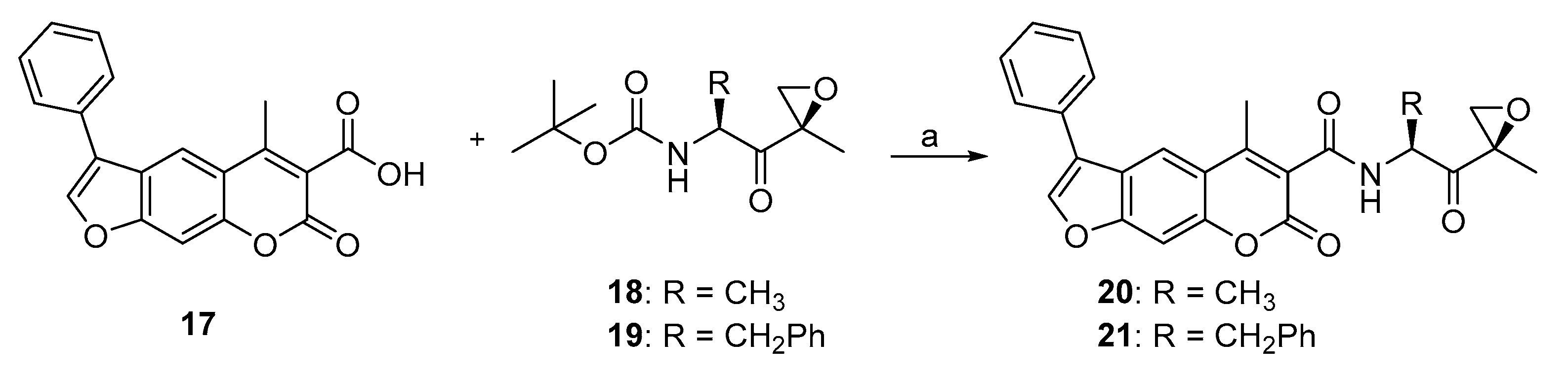 Molecules 26 00356 sch004