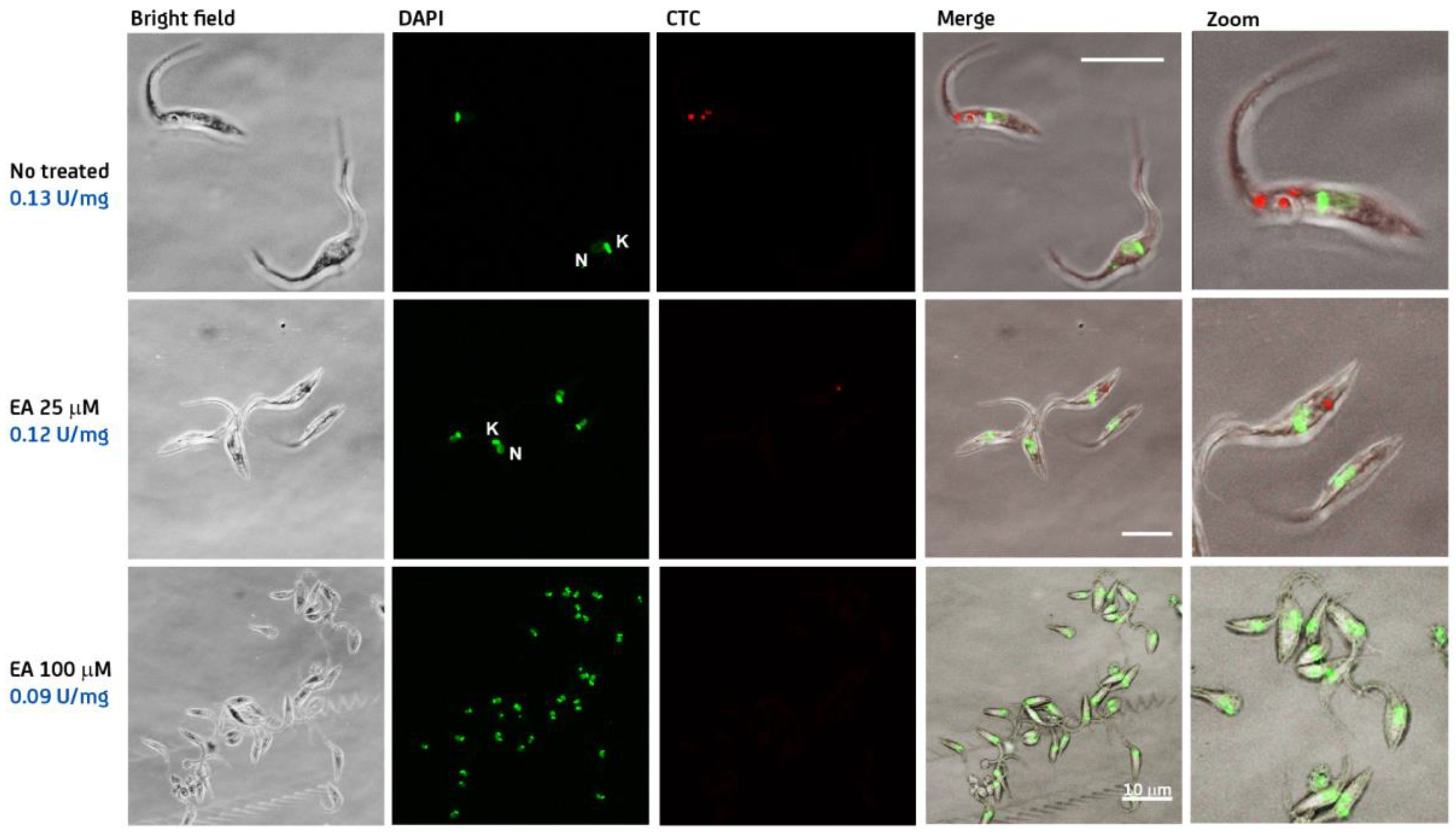 Molecules 26 00358 g003 Molecules 26 00358 g003