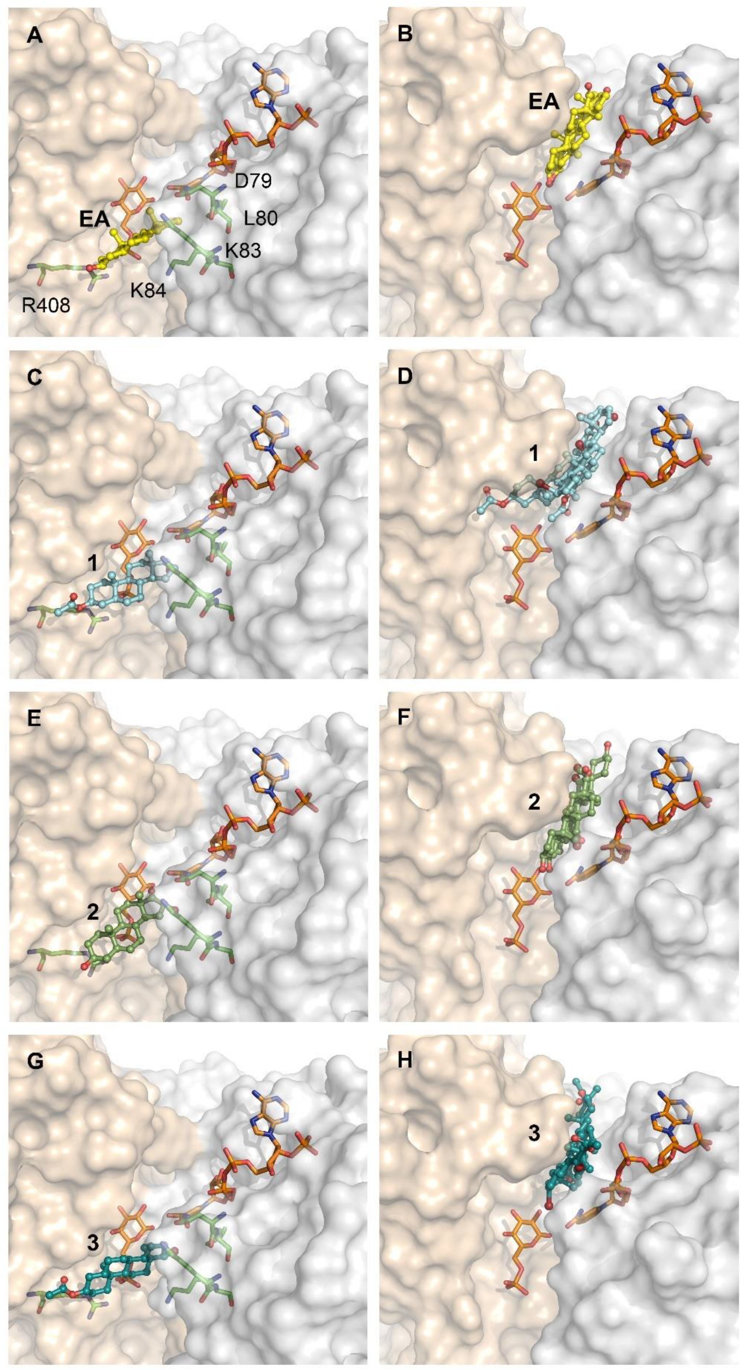 Molecules 26 00358 g006 Molecules 26 00358 g006