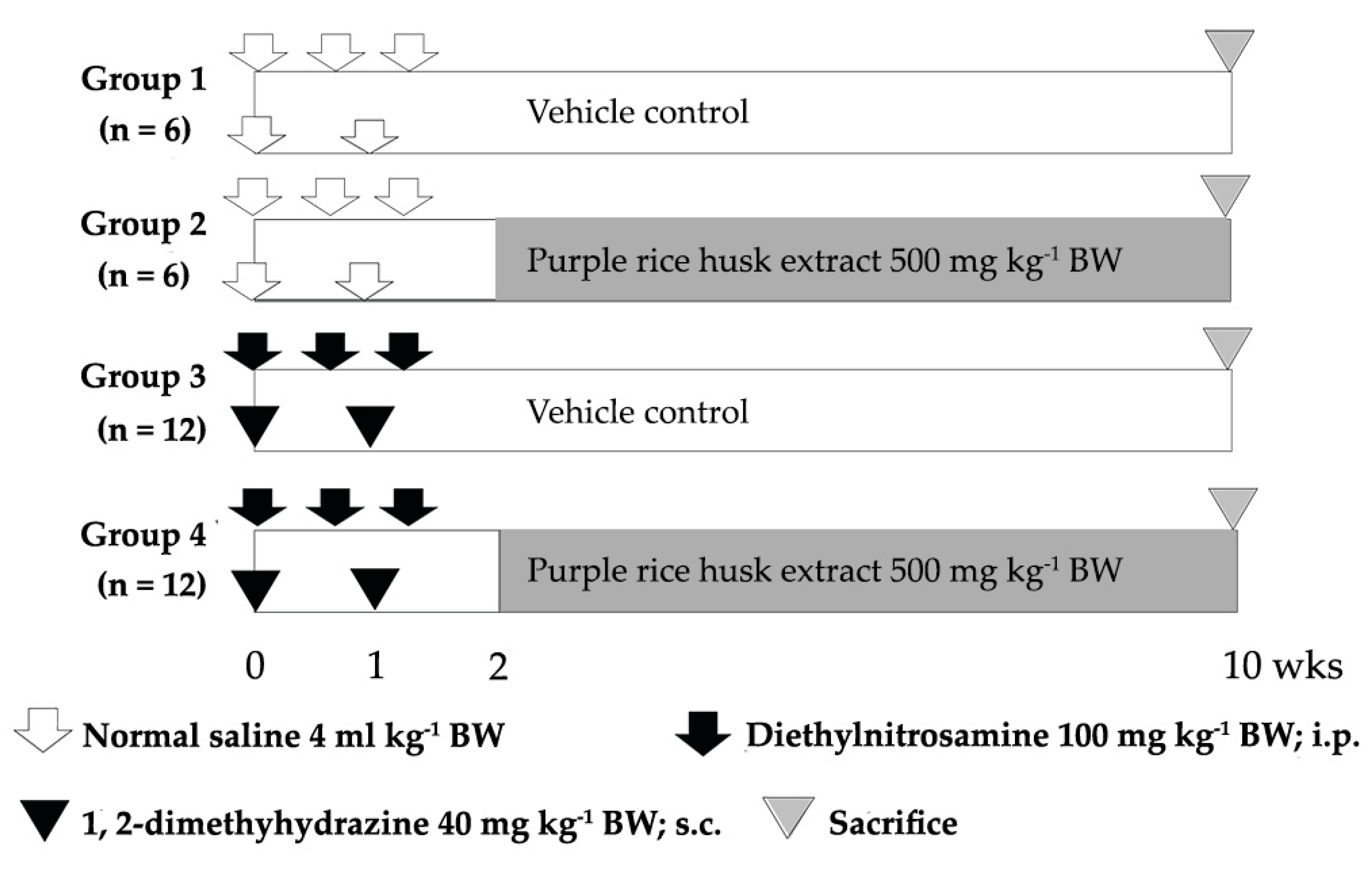 Molecules 26 00360 g005 Molecules 26 00360 g005