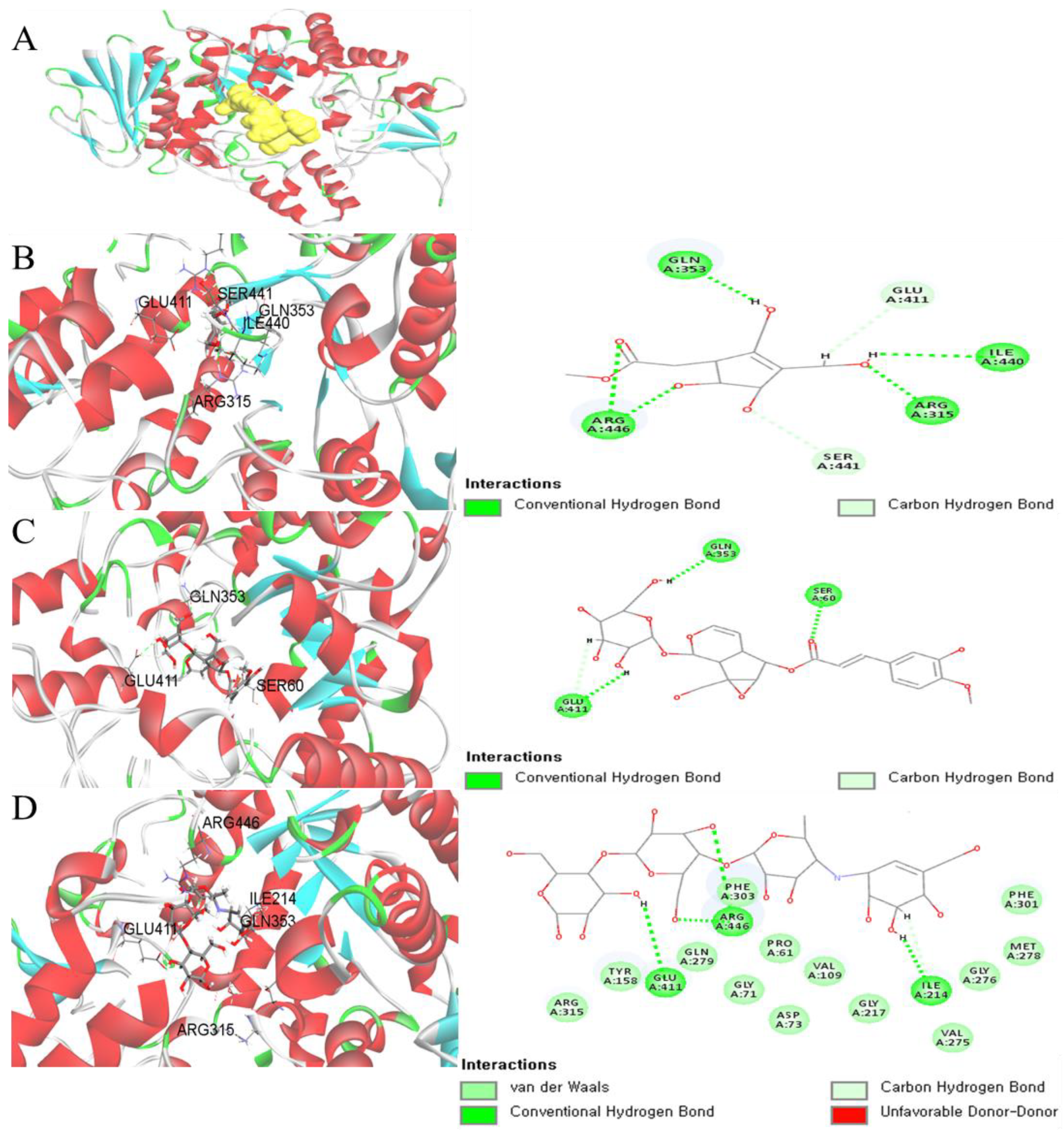 Molecules 26 00362 g005 Molecules 26 00362 g005