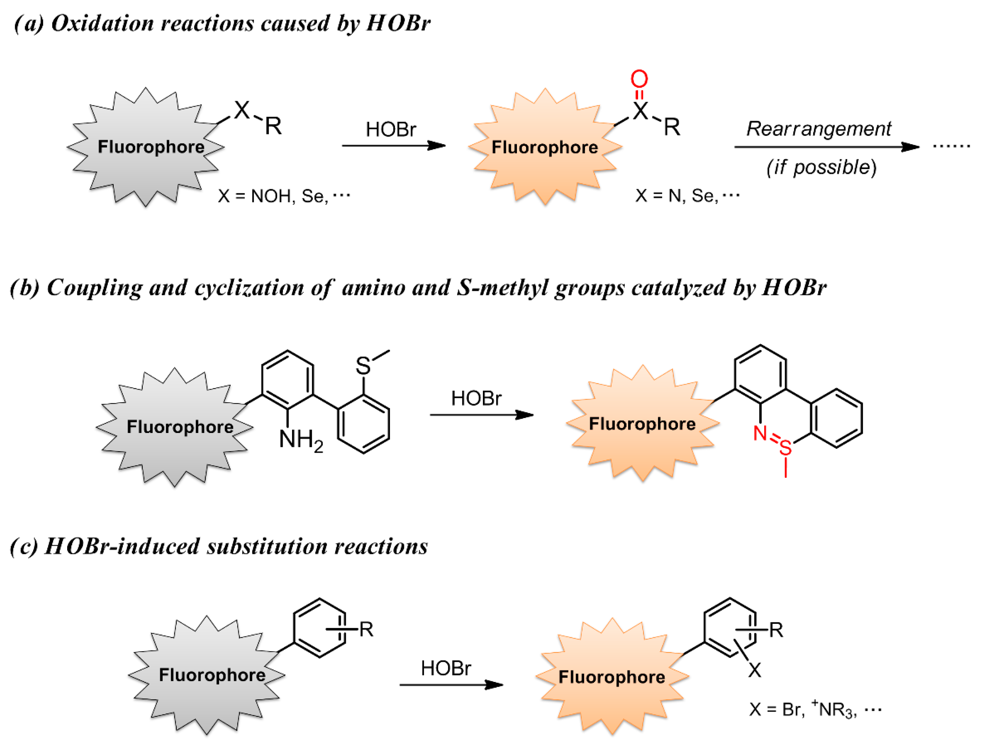 Molecules 26 00363 g002 Molecules 26 00363 g002