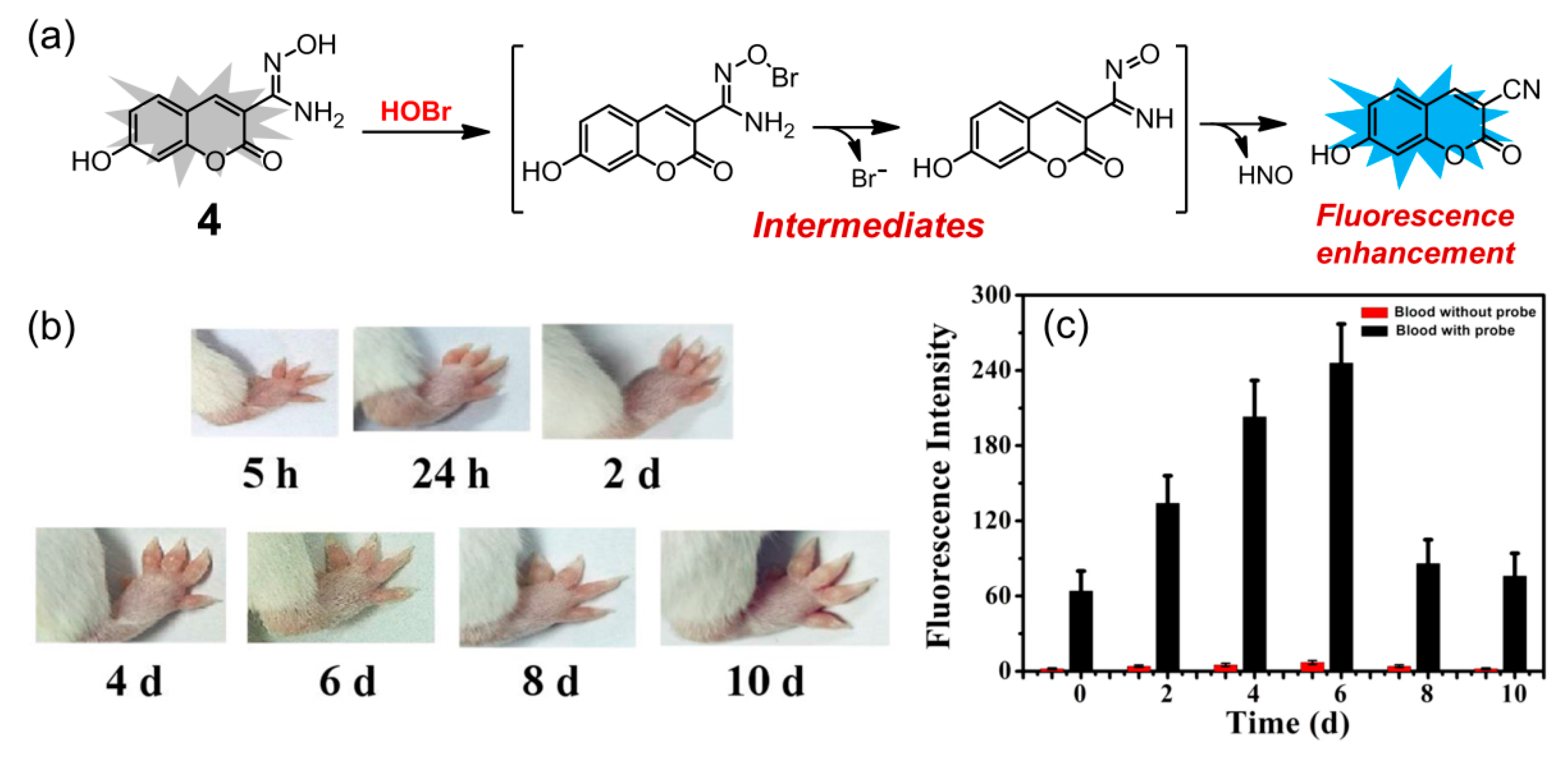 Molecules 26 00363 g005 Molecules 26 00363 g005