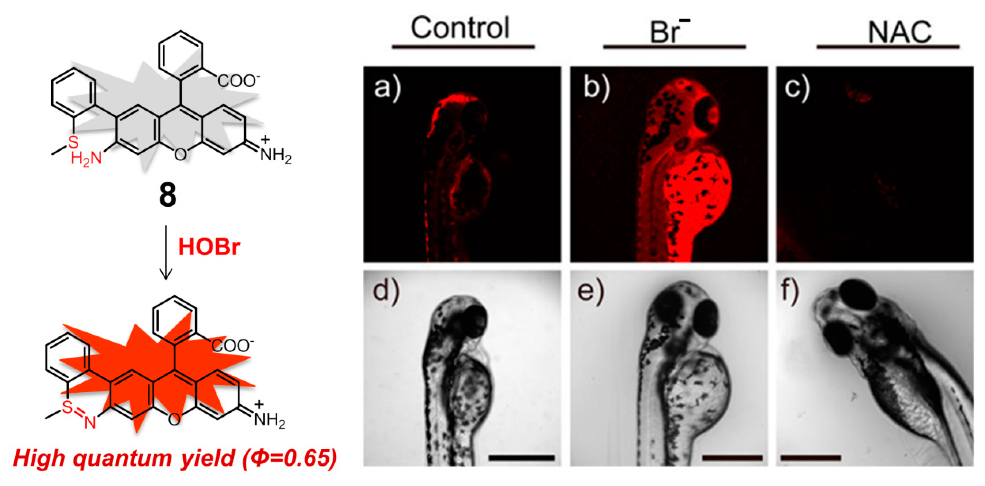 Molecules 26 00363 g009 Molecules 26 00363 g009