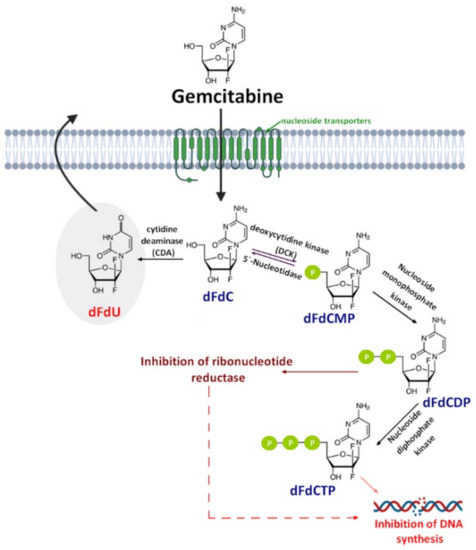 Molecules 26 00364 g001 550