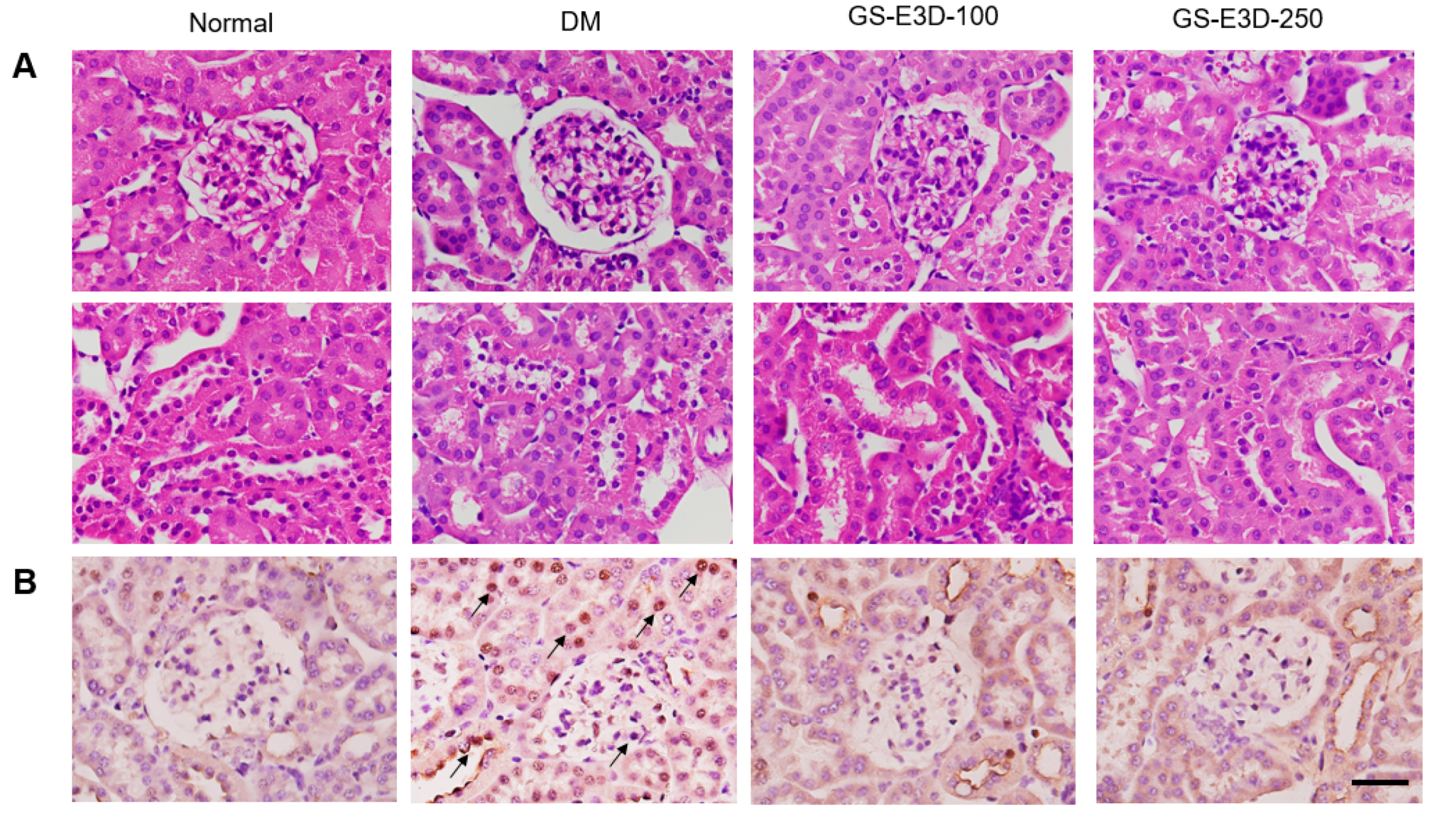 Molecules 26 00367 g004a