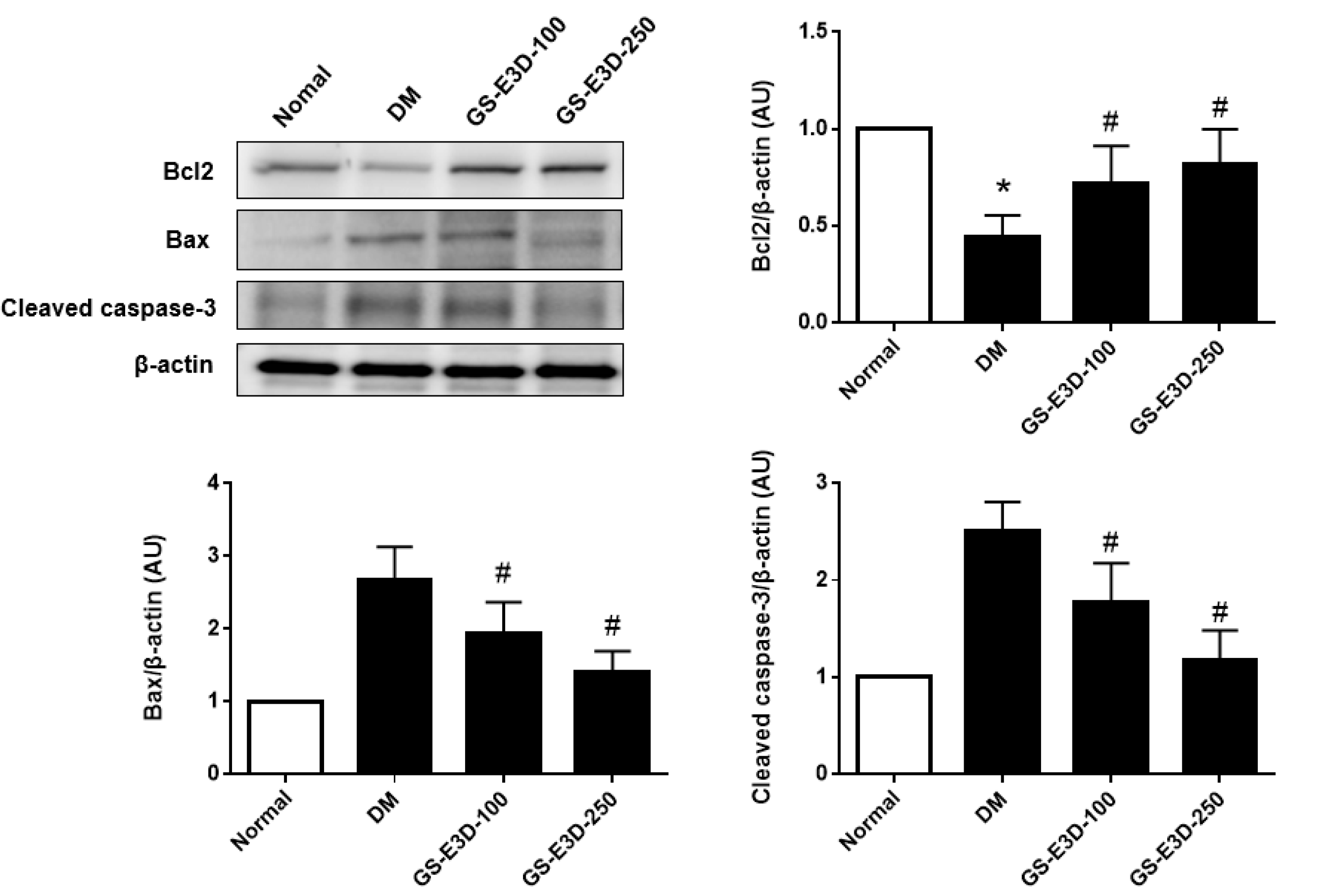 Molecules 26 00367 g005