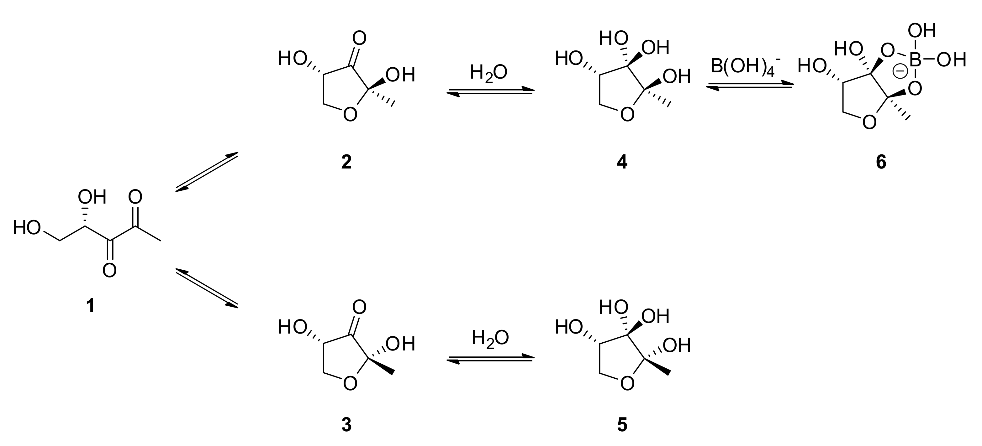 Molecules 26 00369 sch001