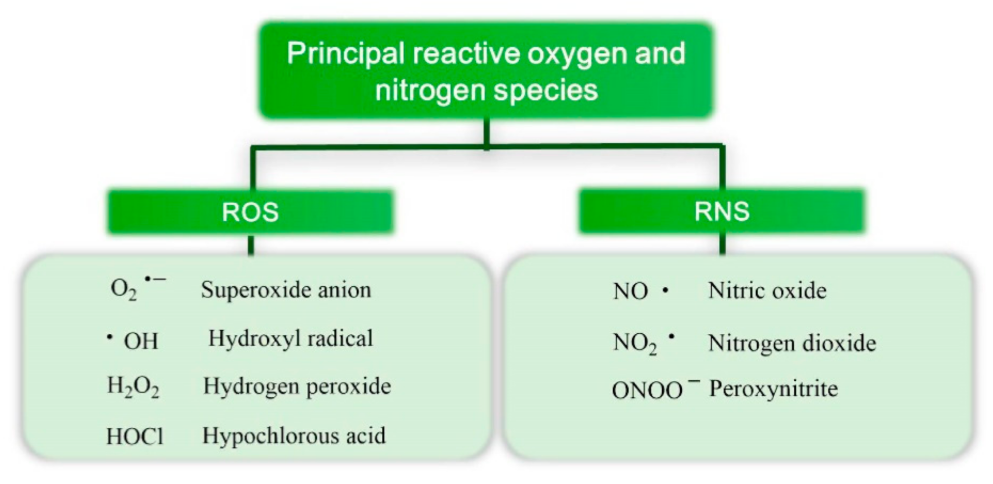 Molecules 26 00370 g003
