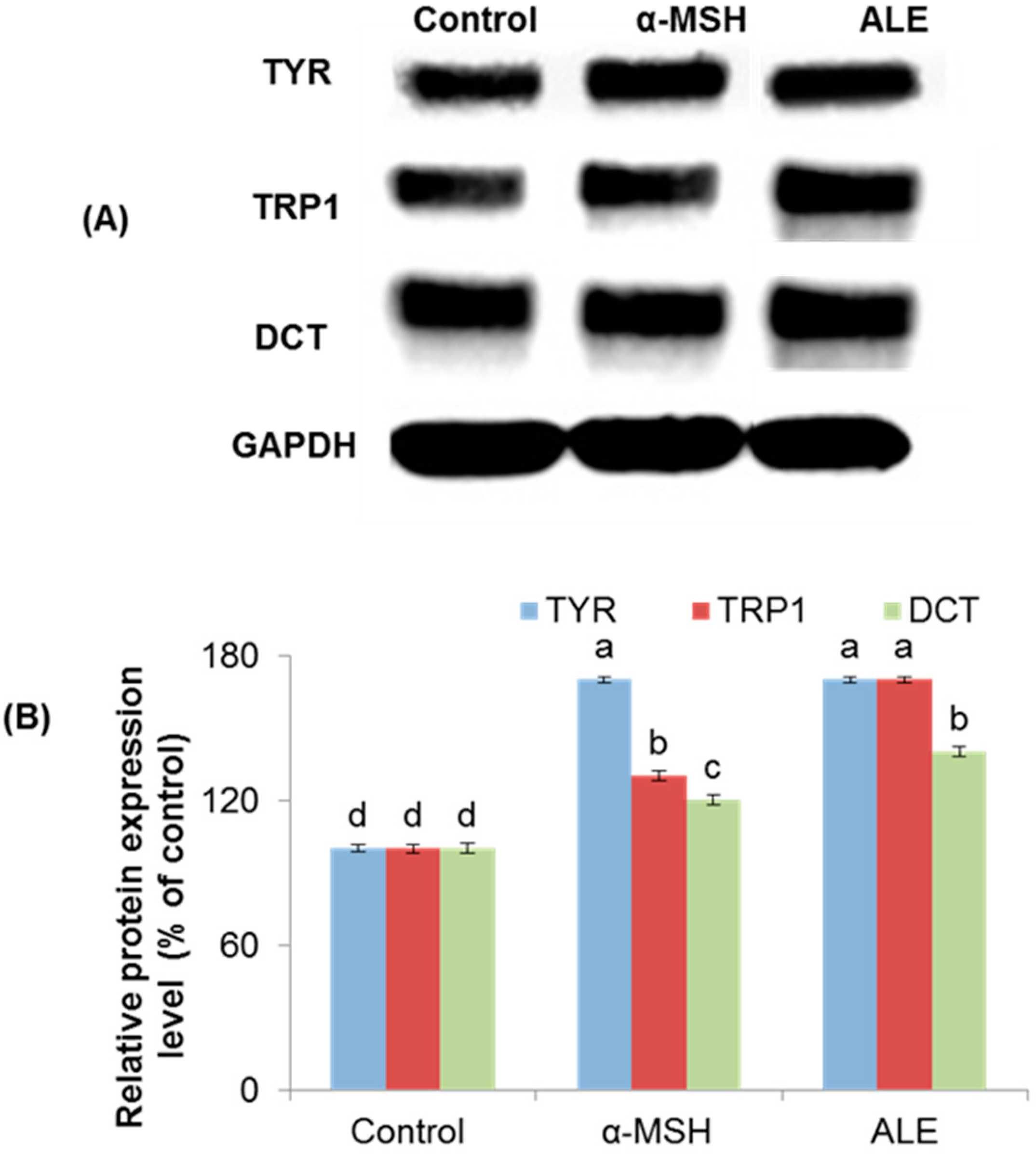 Molecules 26 00371 g003 Molecules 26 00371 g003
