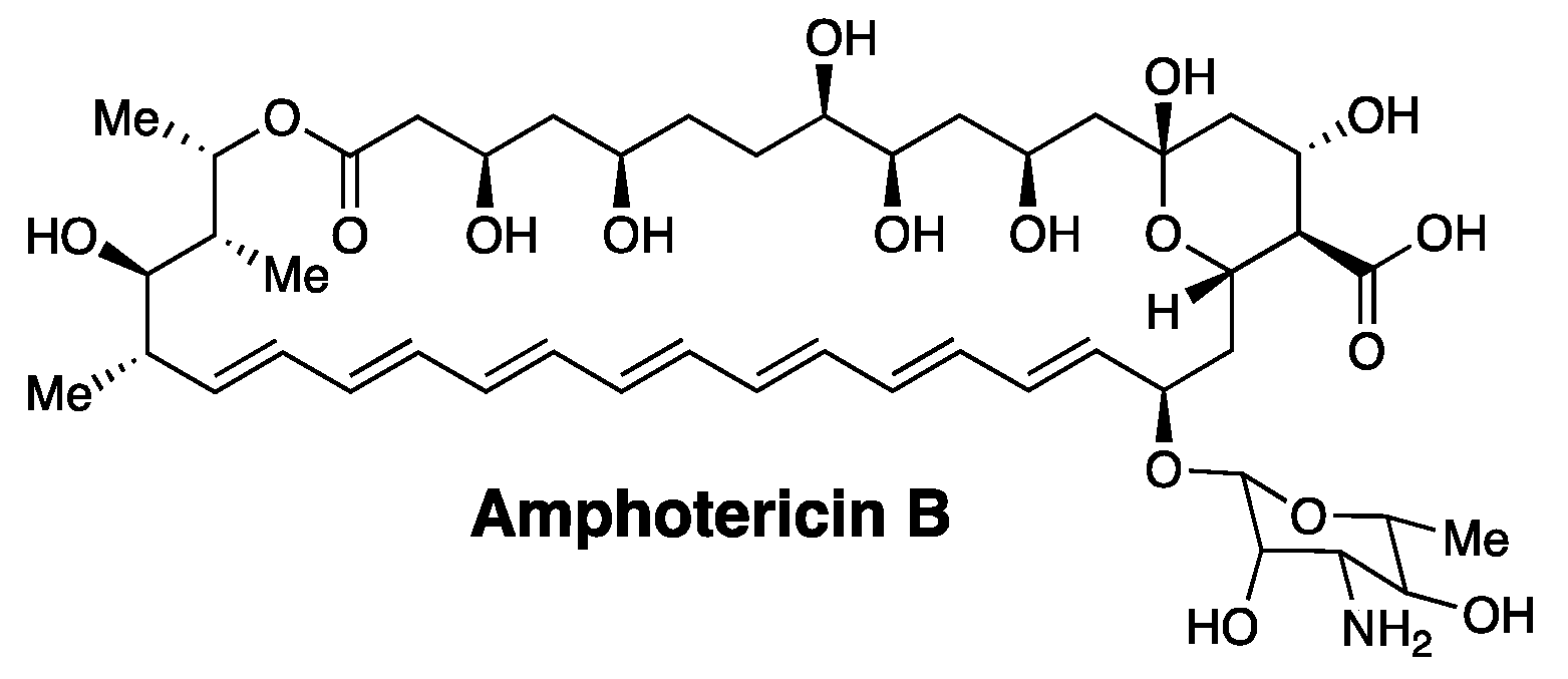 Molecules 26 00374 g001