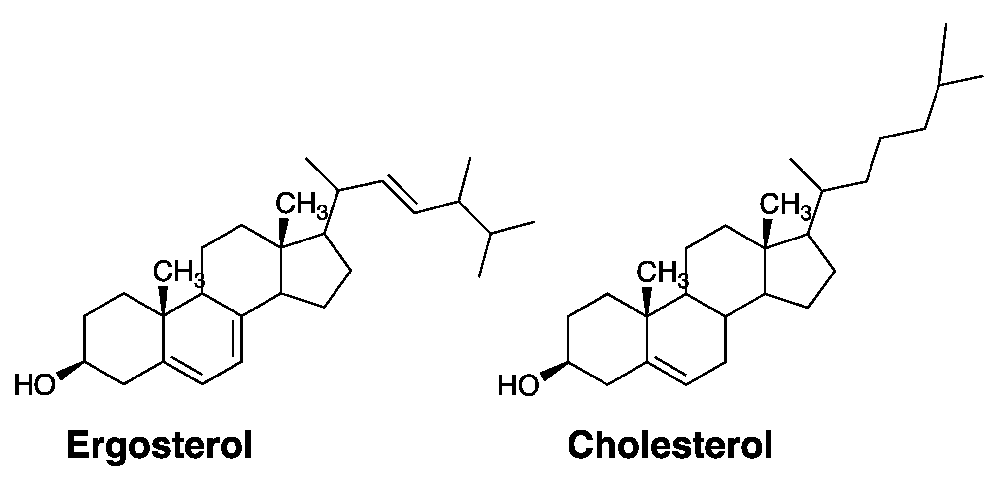 Molecules 26 00374 g003