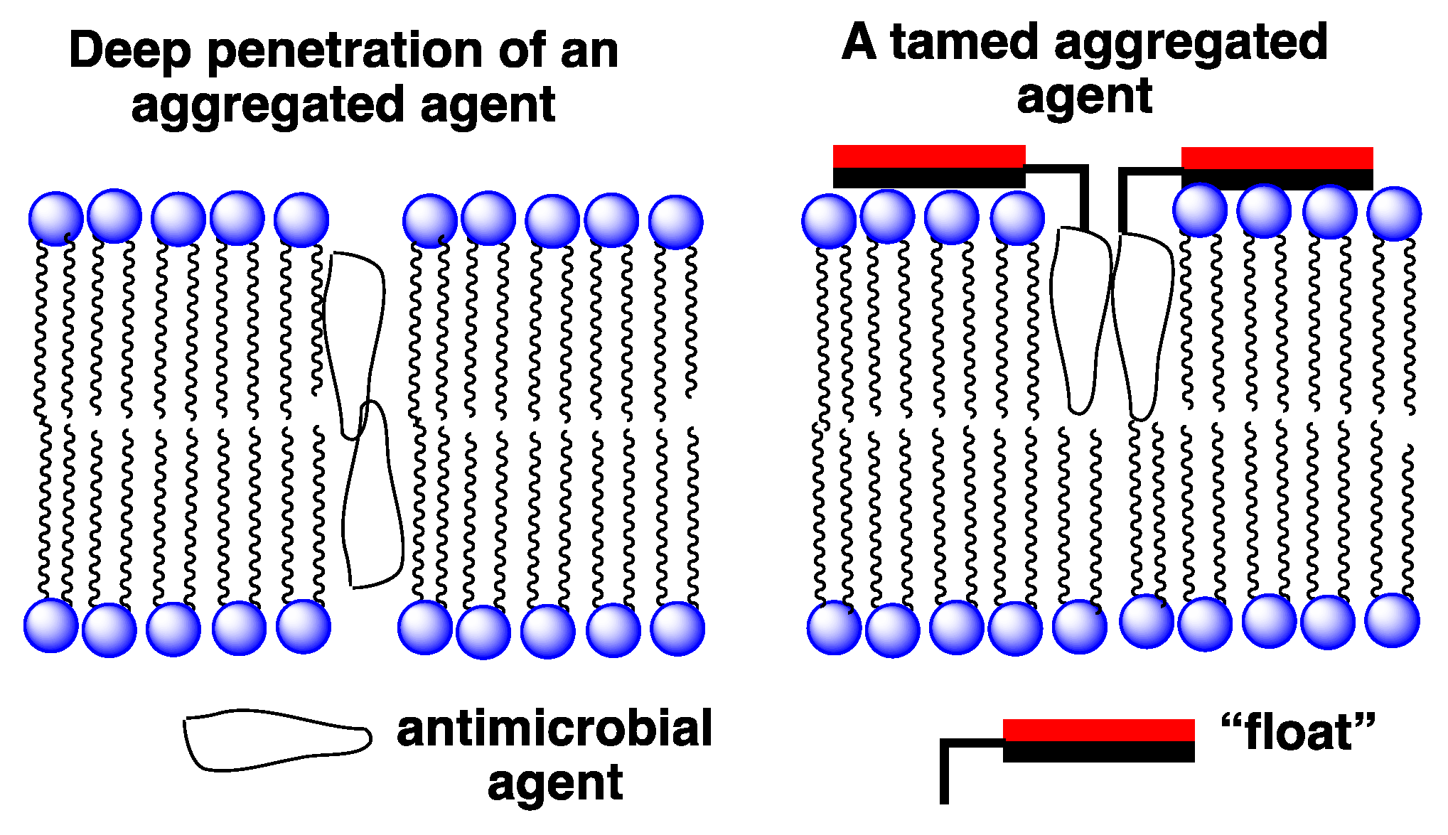 Molecules 26 00374 g007