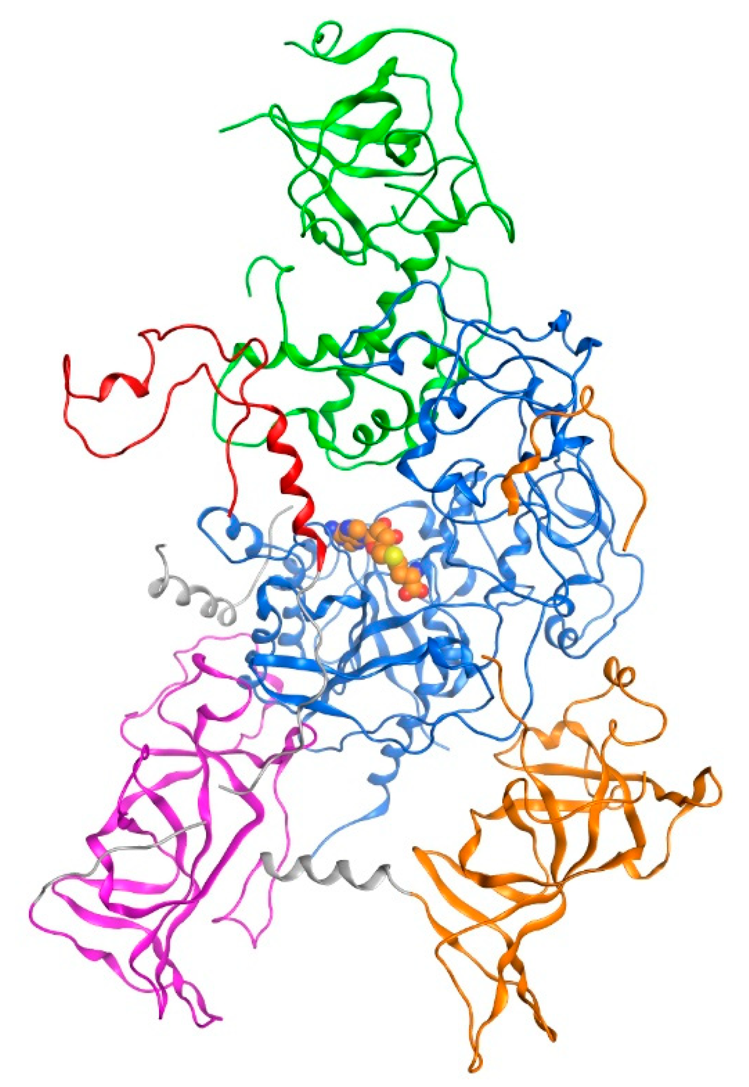 Molecules 26 00375 g001