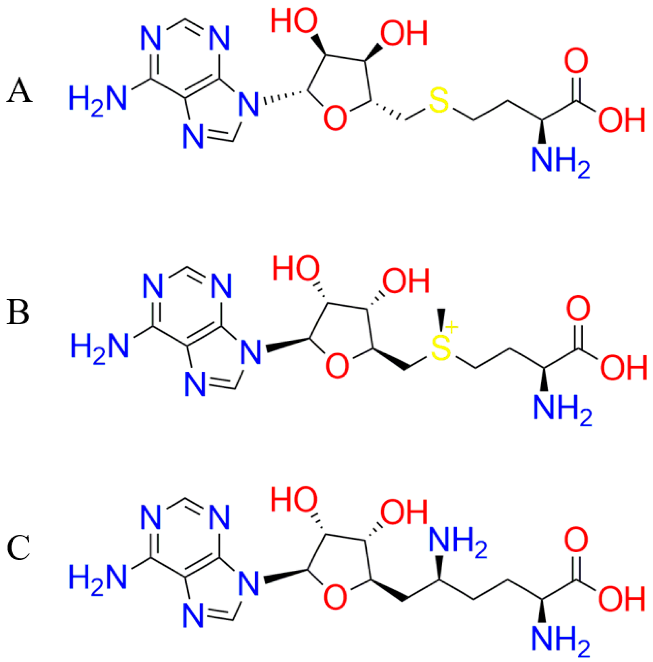 Molecules 26 00375 g002